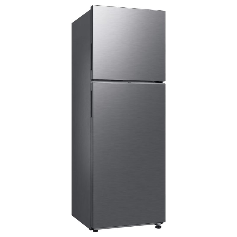 Detalle 2 de Samsung RT31CG5624S9: Frigorífico 2 puertas en acero inoxidable, 305 L, Top Mount Freezer