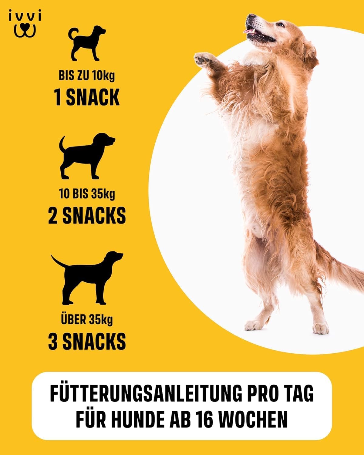 Thumbnail 5 de ivvi Hip & Joint Gelenktabletten 60 Snacks