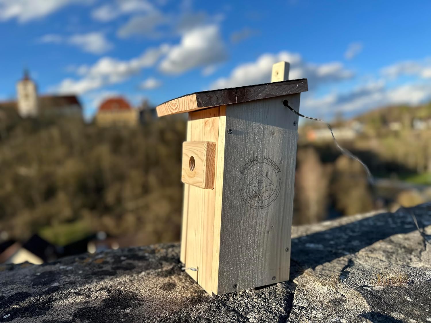 Detalle de Vogelnistkasten mit Kamera Live Stream 3 MP
