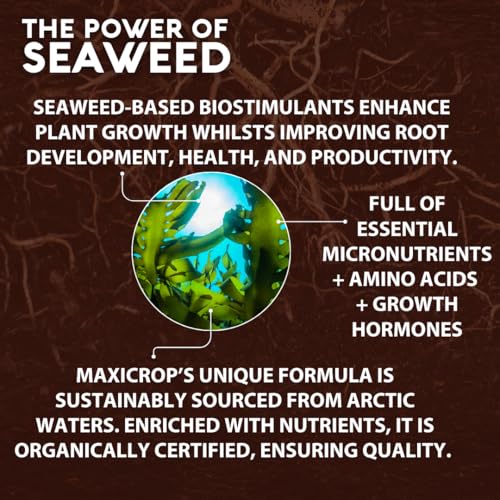 Thumbnail 3 de Maxicrop All Purpose Plant Growth Stimulant, 1L – Natural Seaweed Based Biostimulant