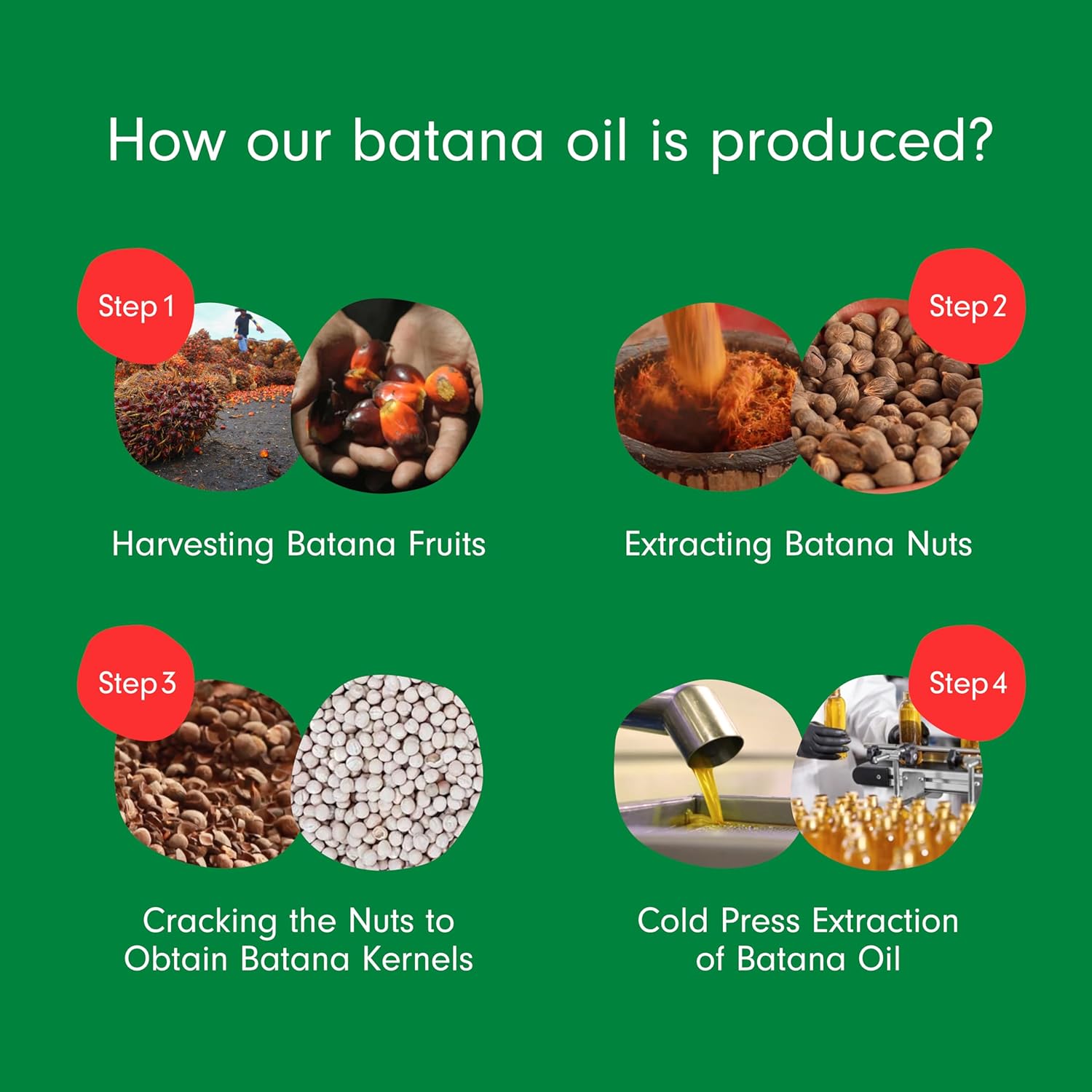 Detalle 2 de Batana Oil 120 ml Hair Growth Öl