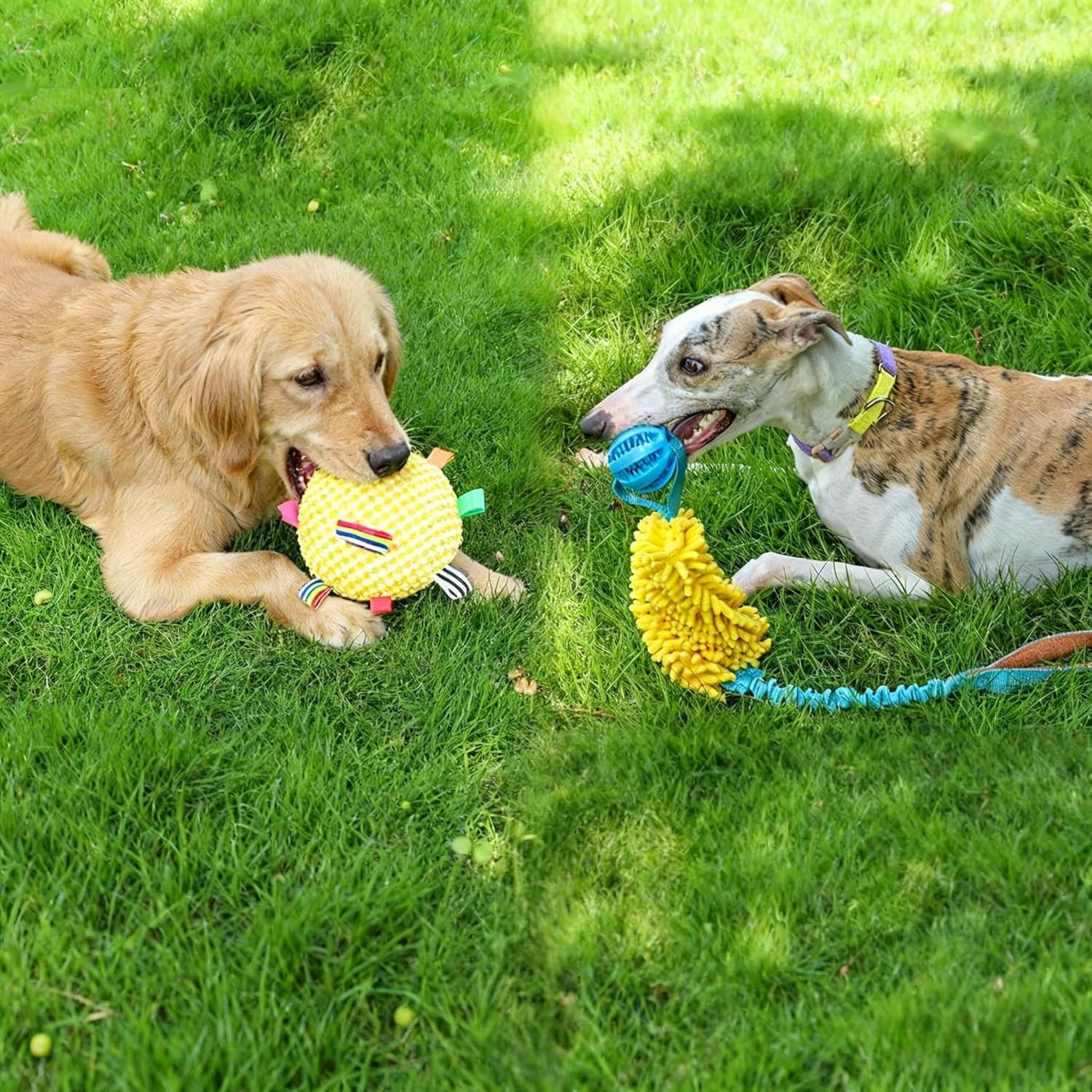 Thumbnail 6 de Whoolon Dog Toy Set for Small–Medium Dogs 🐶