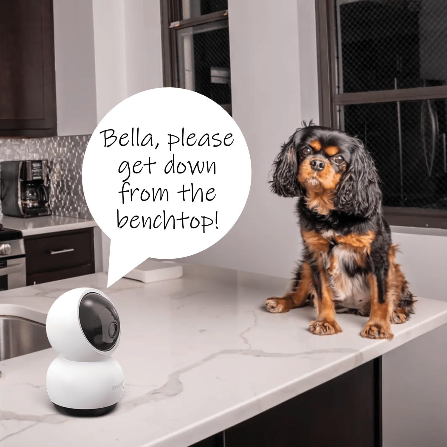 Thumbnail 4 de Swann EVO Wi-Fi security camera 2K PTZ