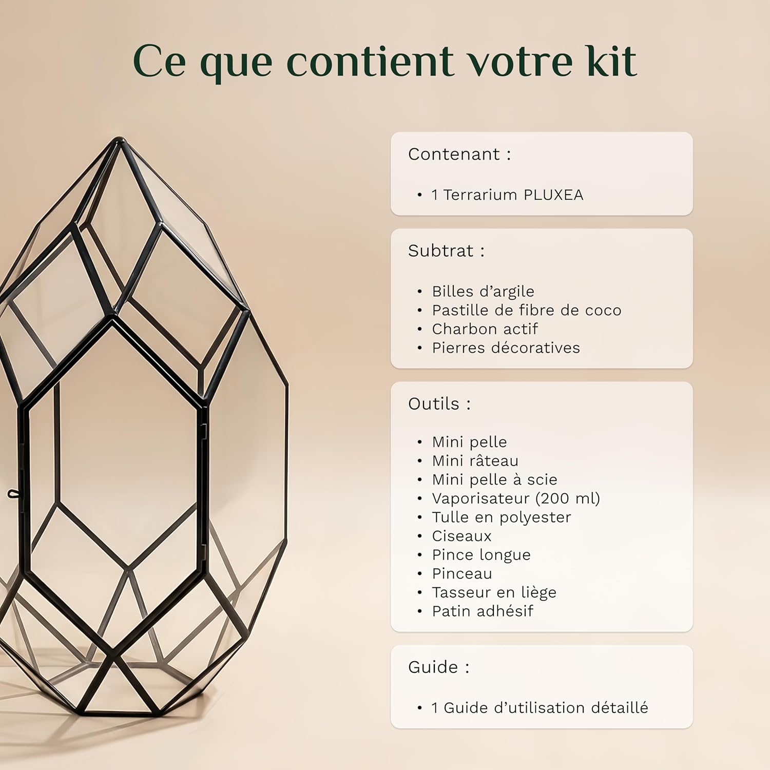 Detalle 2 de Lush Sphere PLUXEA – Kit terrarium complet DIY (sans plantes)