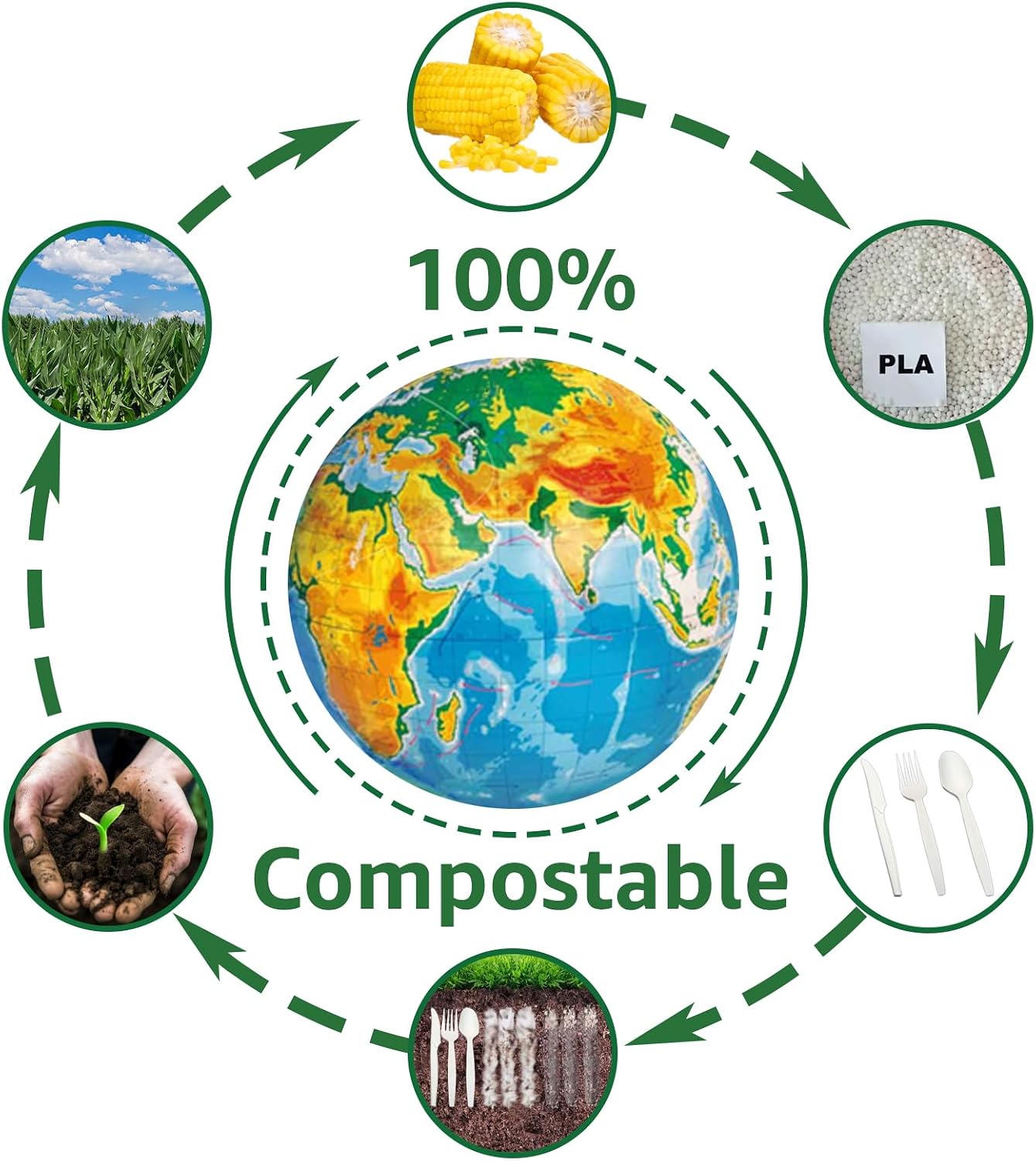 Detalle 2 de MISISIPI SPOONS-200 Compostable Spoons, 200 Count, 6.7-Inch PLA