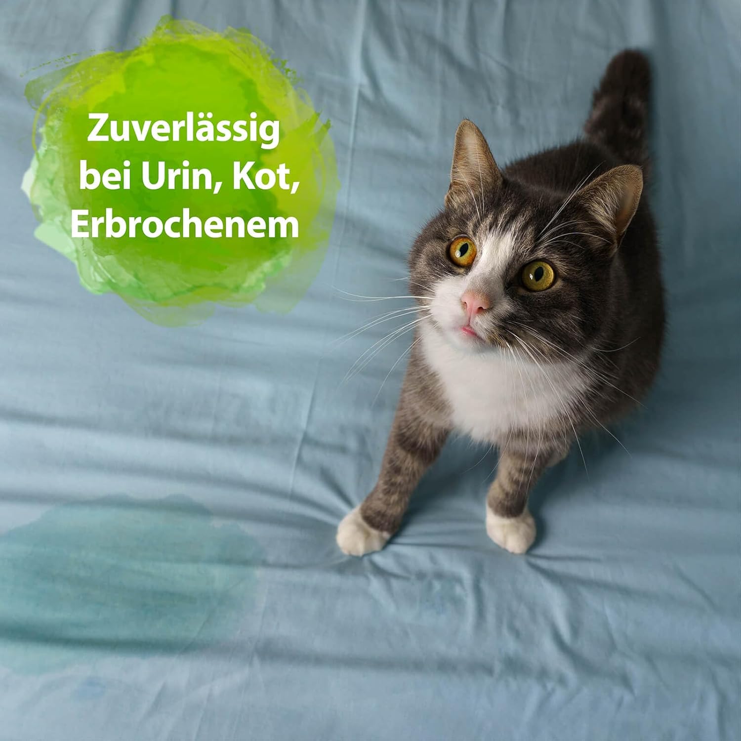 Thumbnail 3 de Bactador Geruchsentferner Wäsche 1L – Enzymreiniger & Hygienespüler für hygienisch frische Textilien