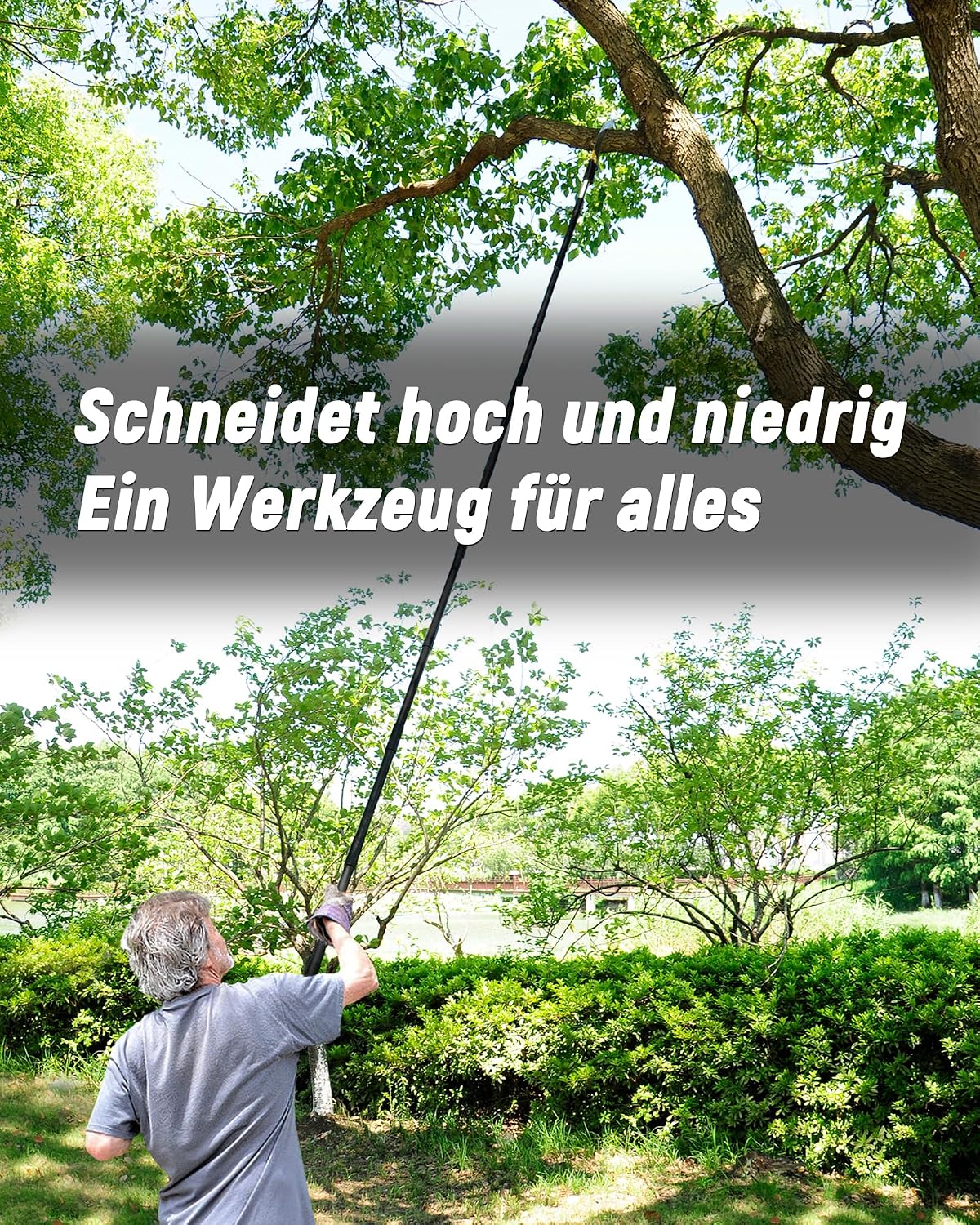 Detalle 2 de BlumeTrec Astsägen mit Stiel zum Baumschnitt 4,3 m – leichte, ausziehbare Baumsäge