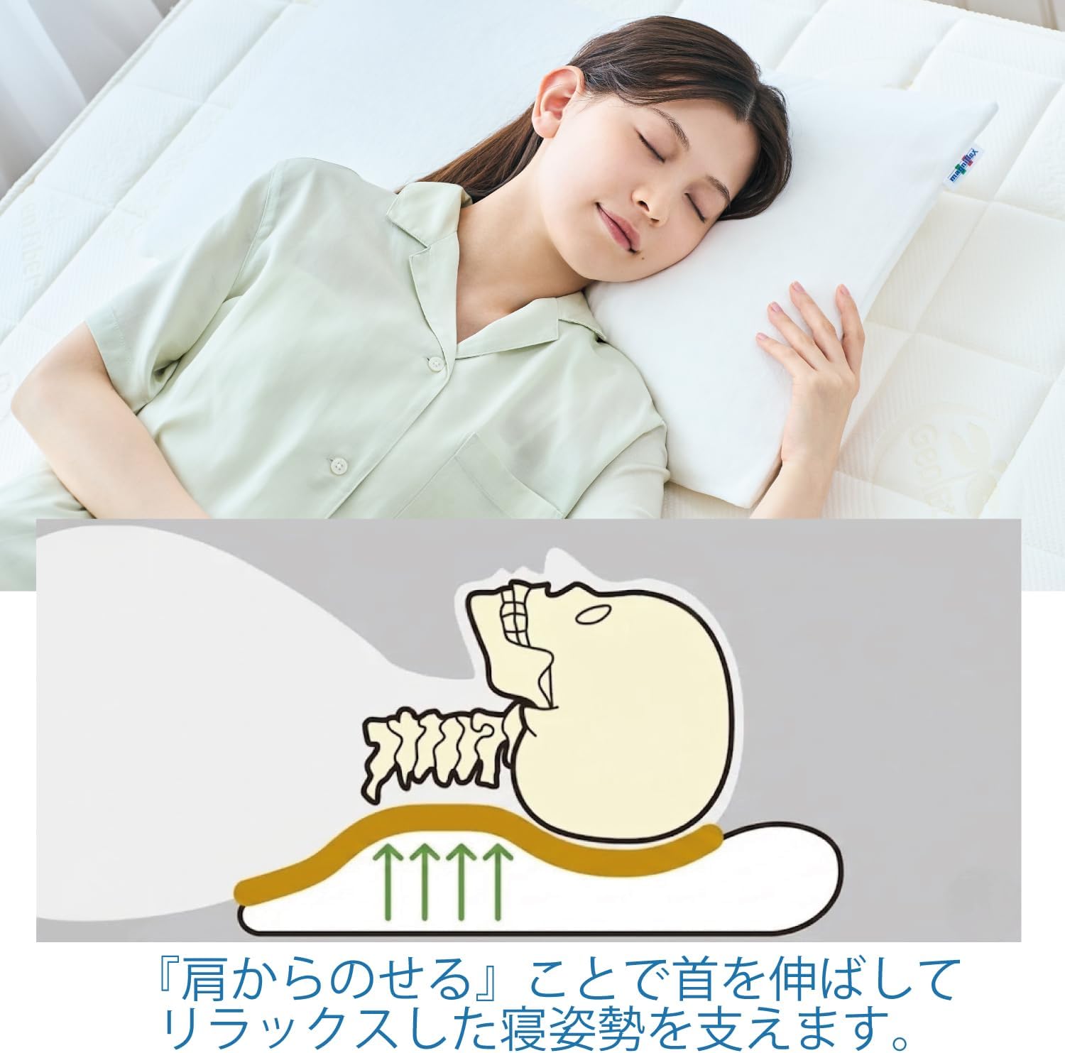 Detalle de マニフレックス ピローフェリーチェ 高反発枕 70×41×10cm エリオセルMF・キャリーホルダー付き
