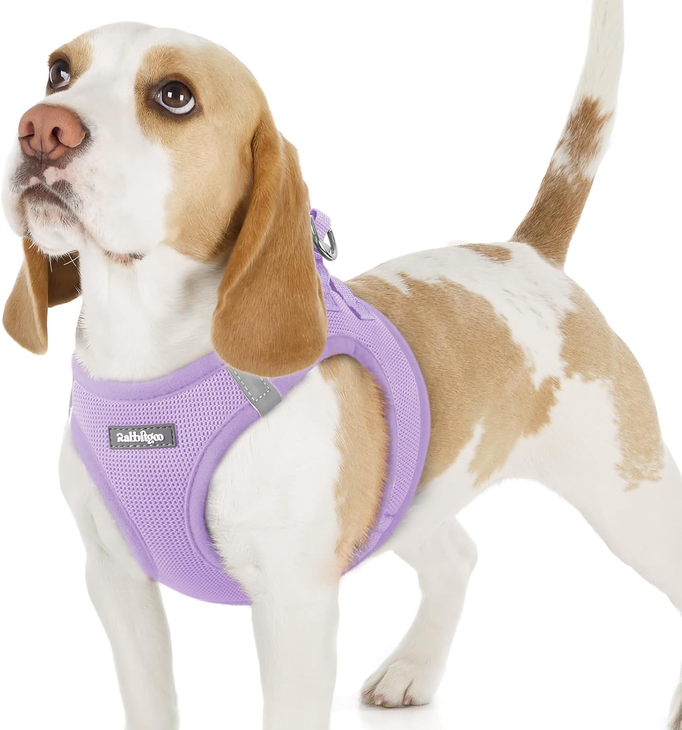 Imagen de rabbitgoo Dog Harness Small Dog (Size M) – Step-in Soft Mesh, Reflective, Light Purple en OfertitasTOP