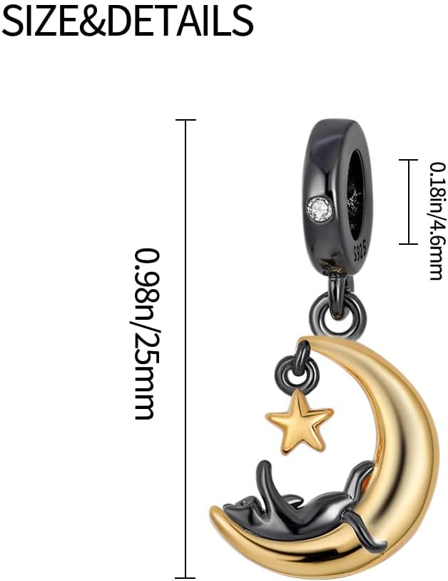 Detalle 2 de Pandach Charm Anhänger 925 Silber C2
