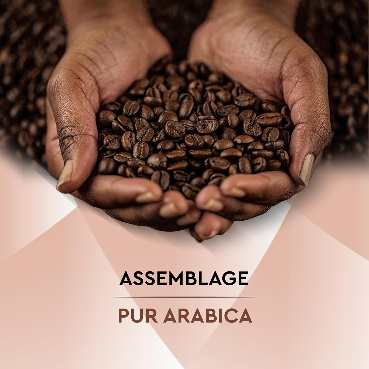 Detalle de CARTE NOIRE Douceur Intense – Café moulu 100% Arabica, Lot de 12 x 250 g, fabriqué en France