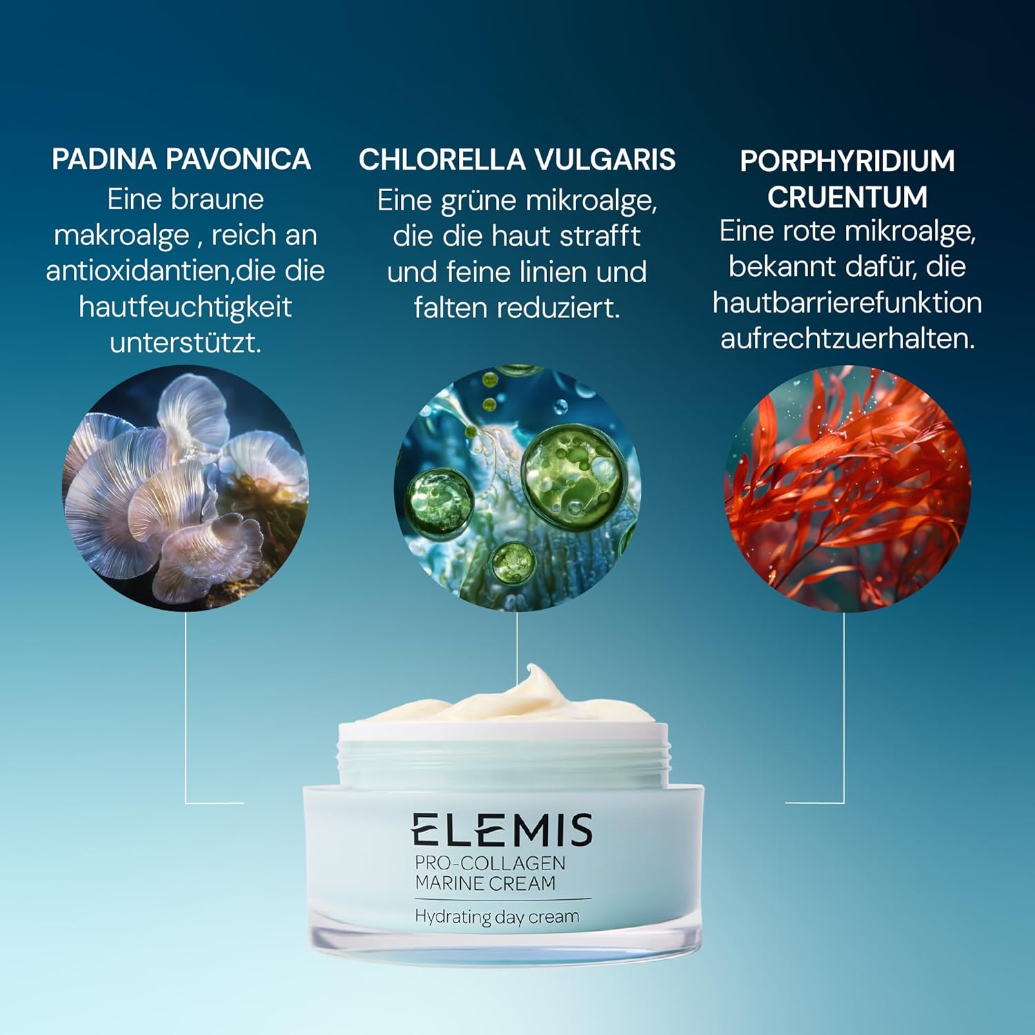 Detalle 1 de Elemis Pro-Collagen Marine Cream – Anti-Wrinkle Feuchtigkeitspflege mit UVA/UVB-Schutz