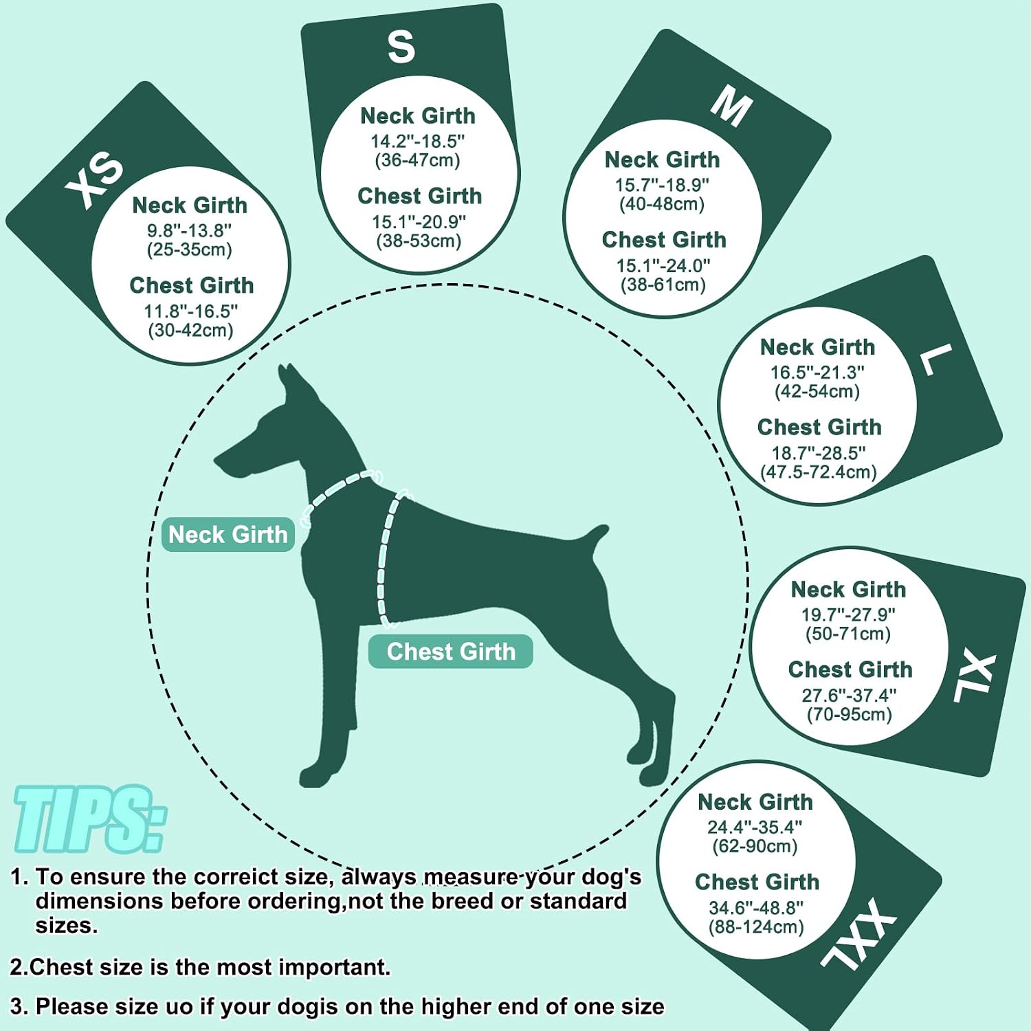 Thumbnail 4 de EMUST Dog Life Vest for Swimming (Turquoise, Size L)
