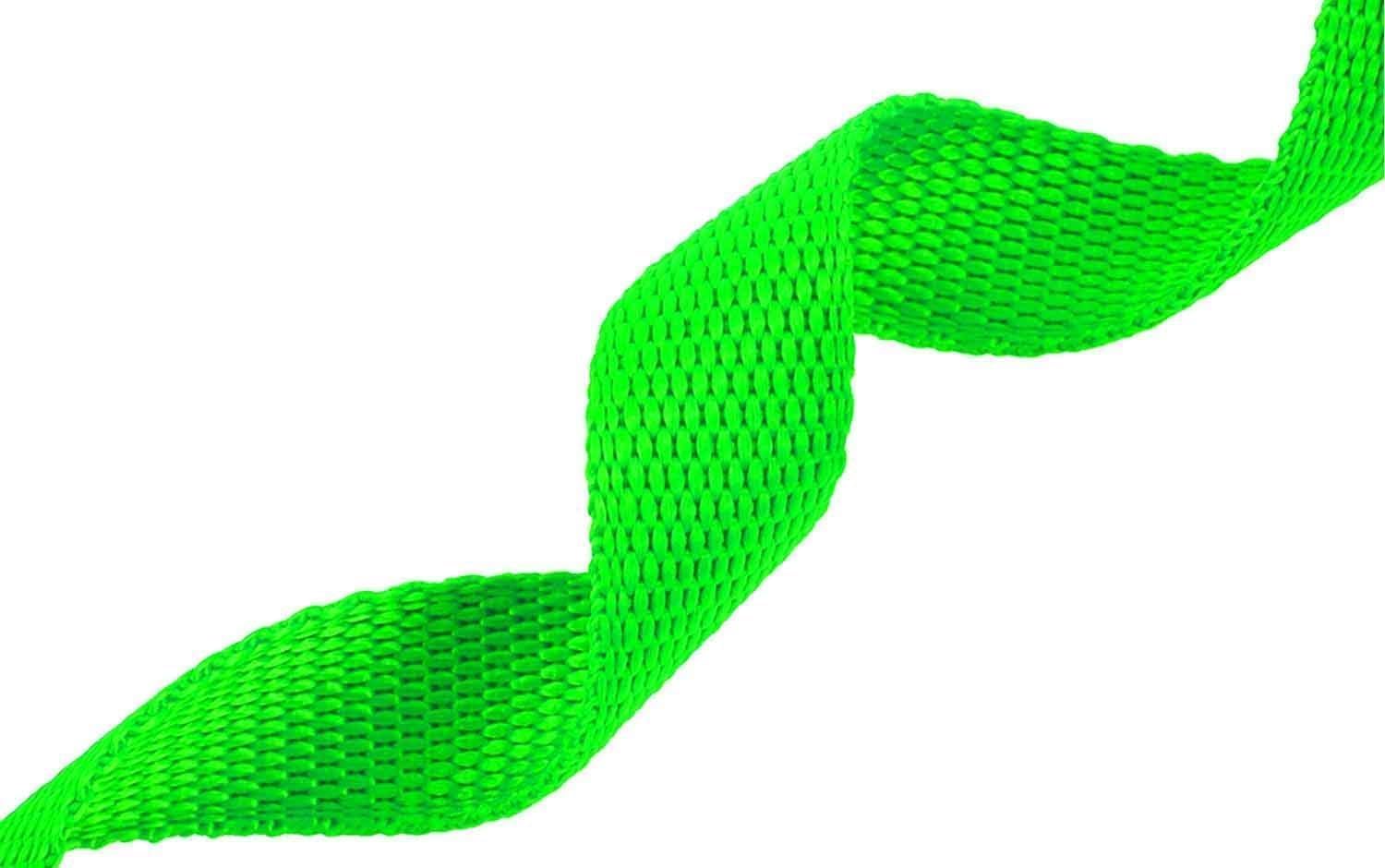 Detalle de AMAGOOD 100-Foot Dog Training Leash, Green Braided Line, 3/4-Inch Wide