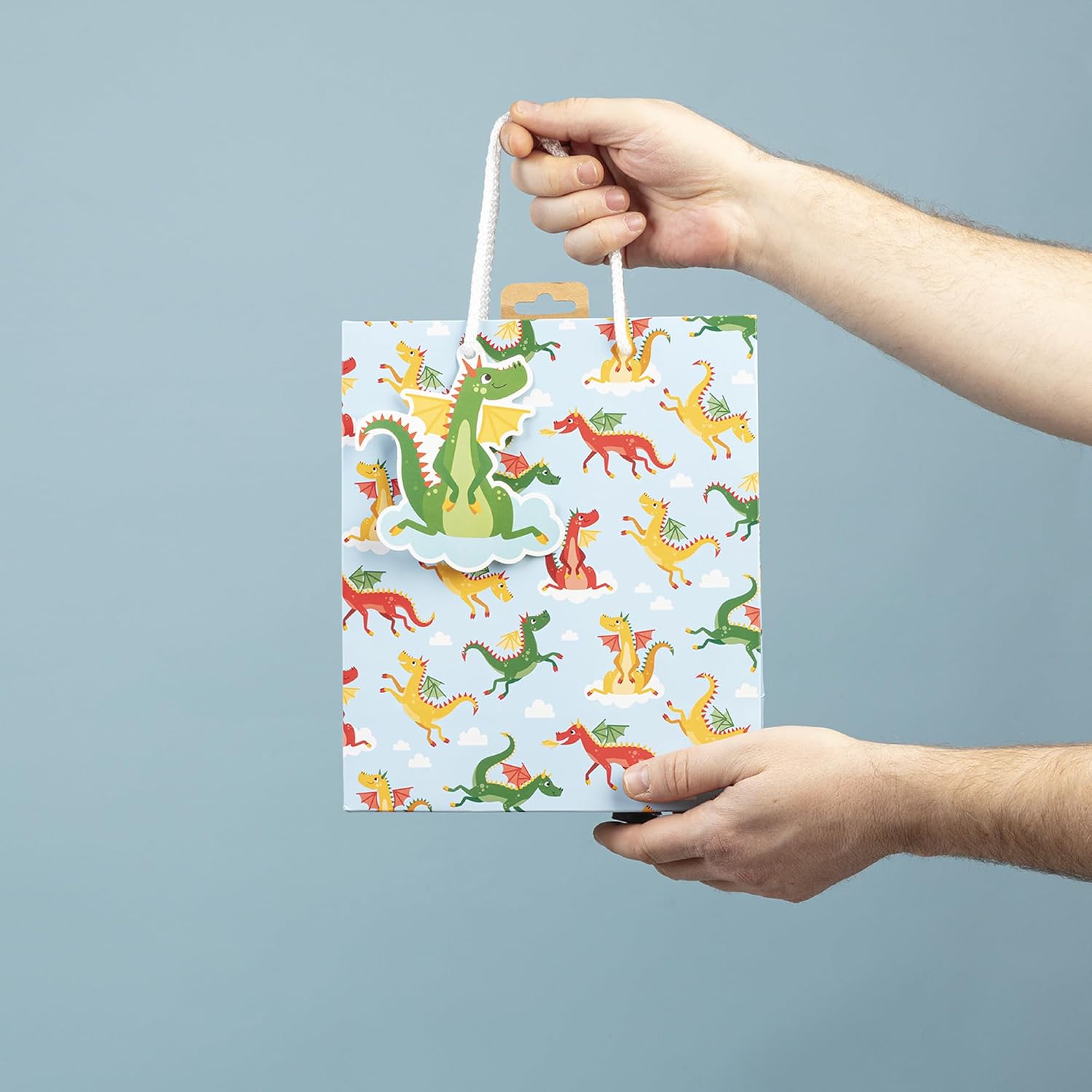 Thumbnail 4 de Eurowrap 32475-3Cpack — Lot de 6 sacs cadeaux enfants Dragons, formats moyens 21,5 x 10,2 x 25,3 cm