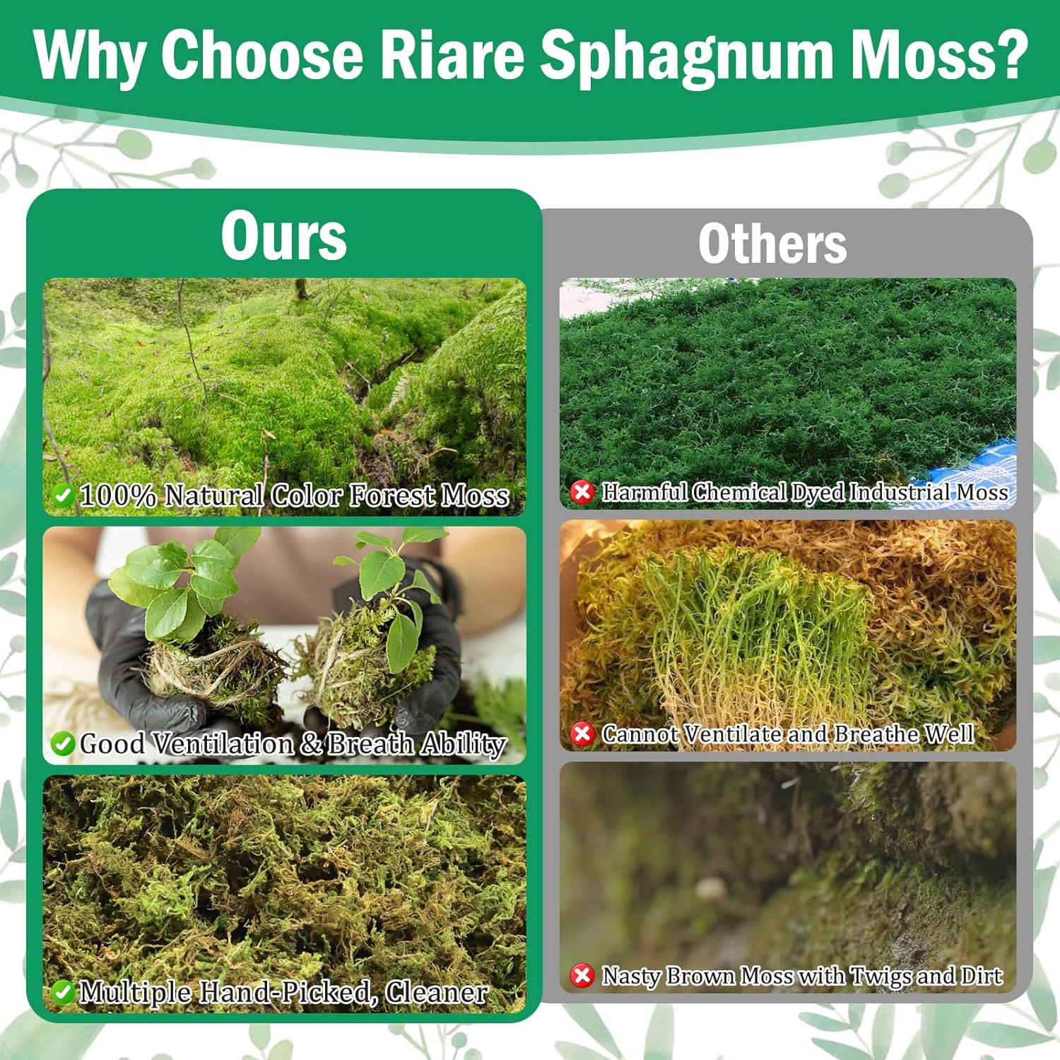 Thumbnail 4 de Riare 1.3kg Natural Dried Plant Moss (Sphagnum) for Repotting, Succulents, Aquariums & DIY
