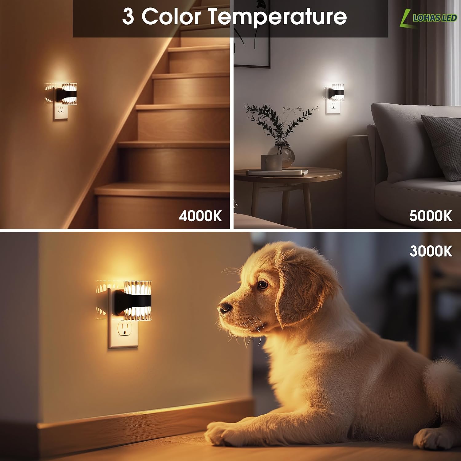 Thumbnail 6 de L LOHAS LED Night Lights, 2-Pack, 3 CCT, Dimmable, Dusk-to-Dawn Sensor