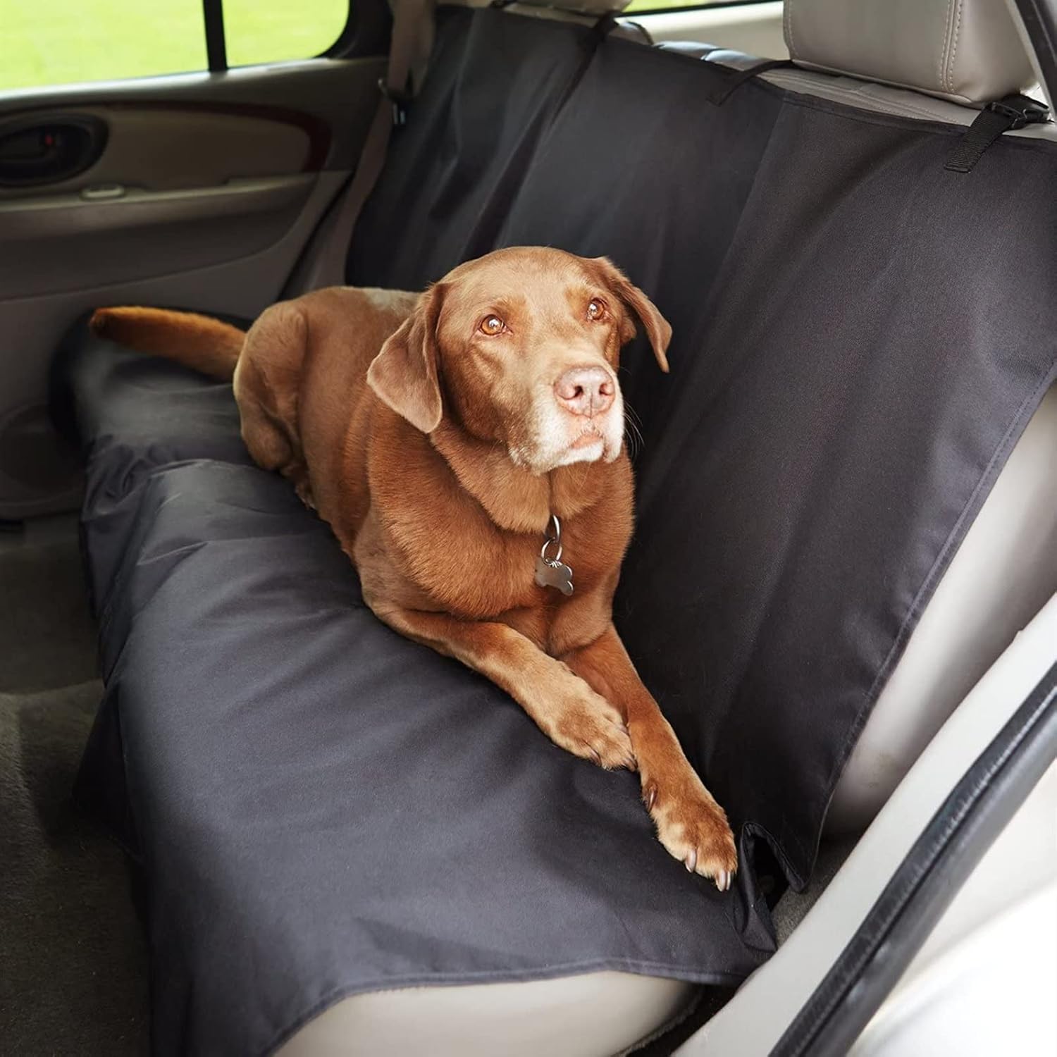 Pettom Funda coche para perro 142x119 cm