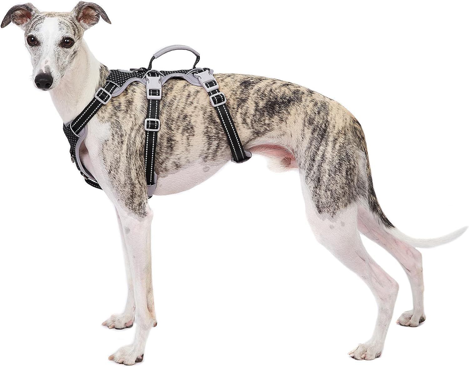 Detalle de Huntboo Hunde-Sicherheitsgeschirr (ausbruchssicher), reflektierend, mit Griff – Größe M, Schwarz