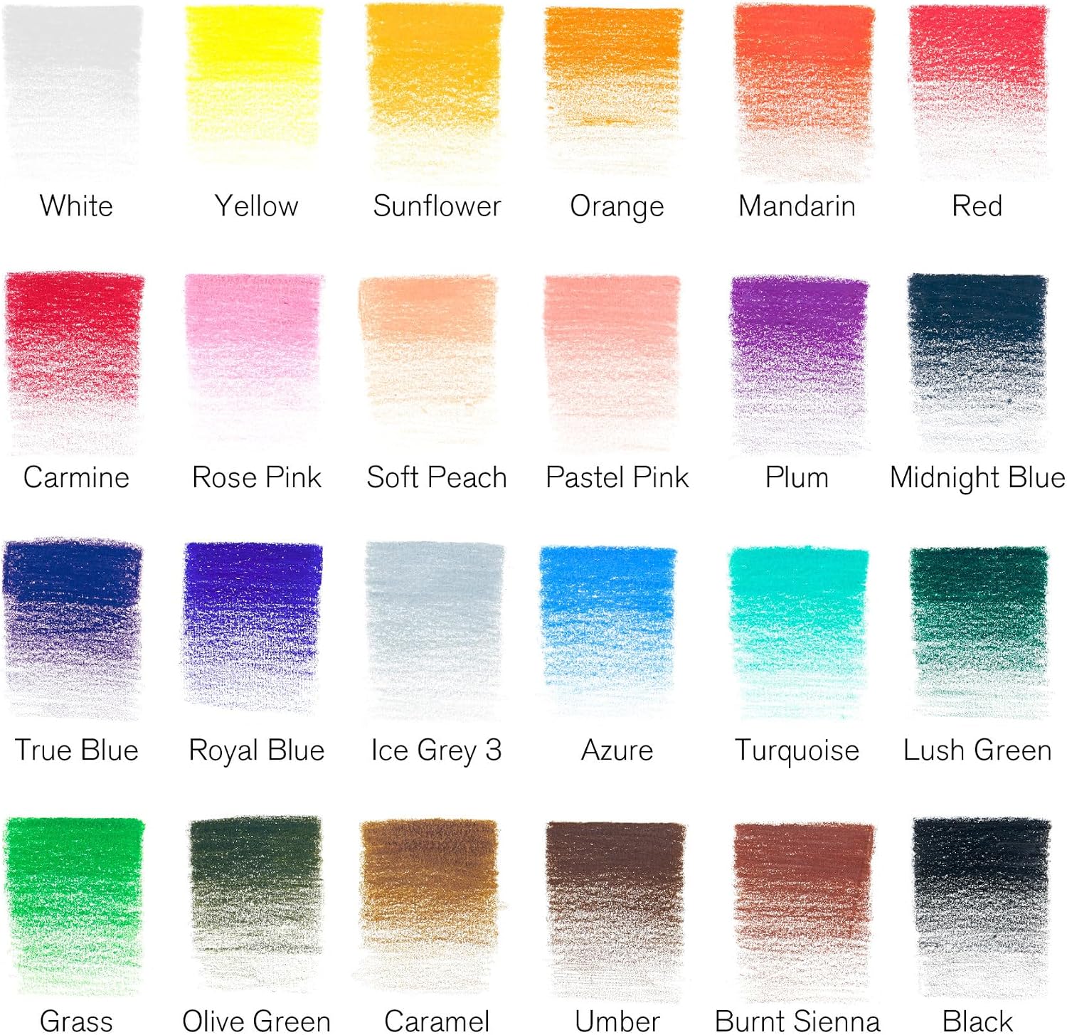 Detalle de Winsor & Newton Studio Collection Crayons de Couleur X24