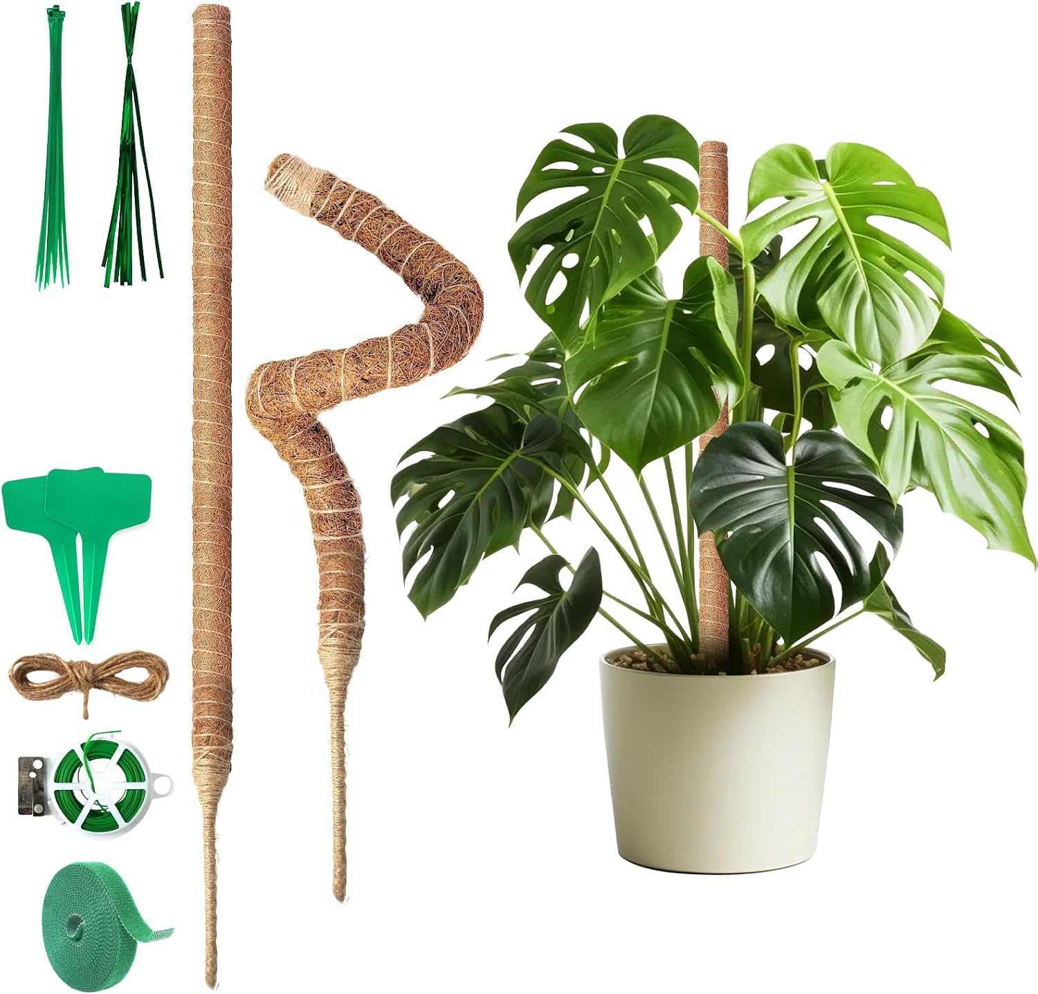 Detalle de Ouxayapl 1 klätterstöd för monstera, 2 böjbara mossstänger i kokosfiber, 60 cm