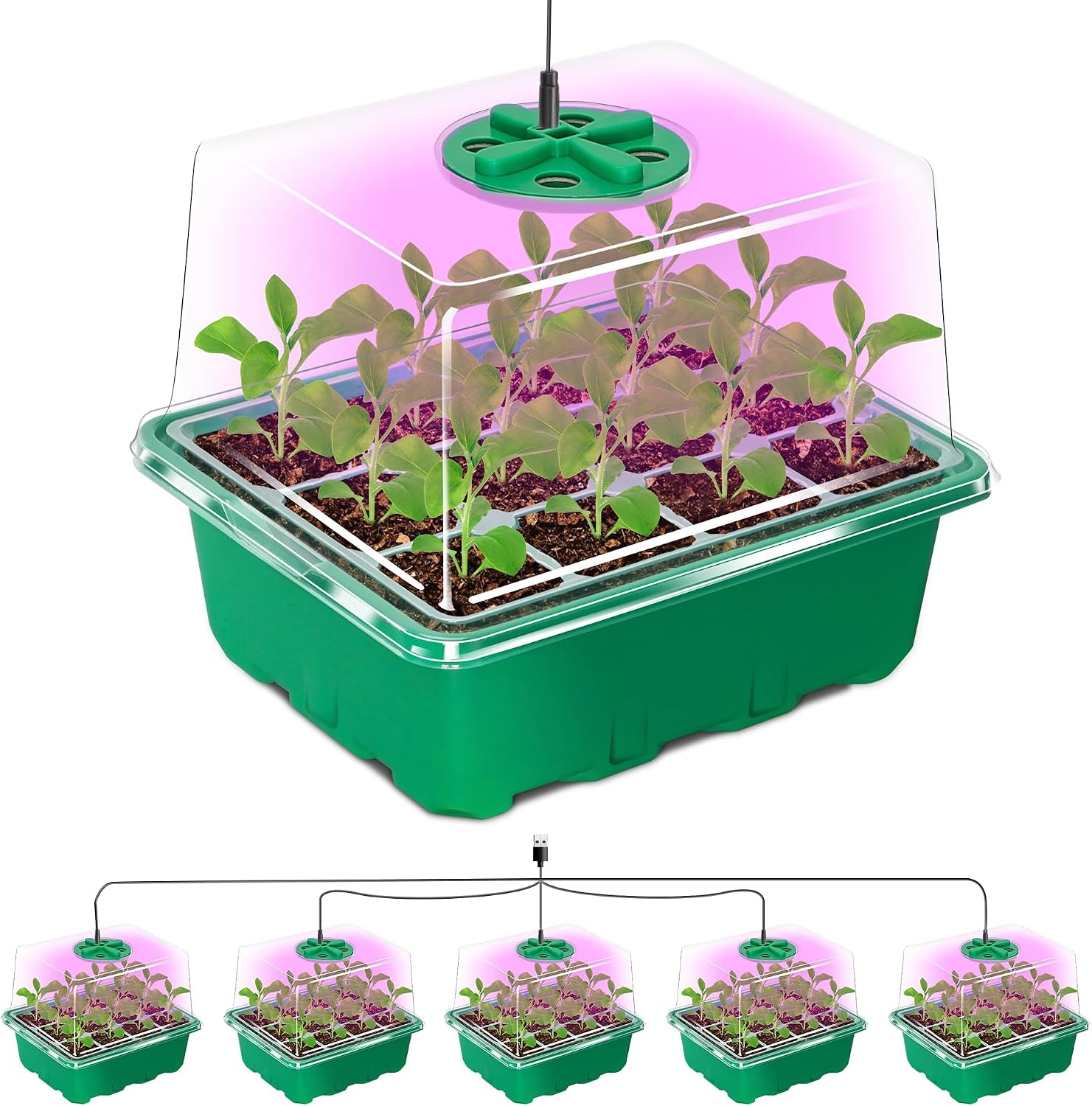 Detalle de Bonviee No1 Seed Starter Tray Kit, 60 Cells, 12-LED Grow Lights, Green, 5-Pack