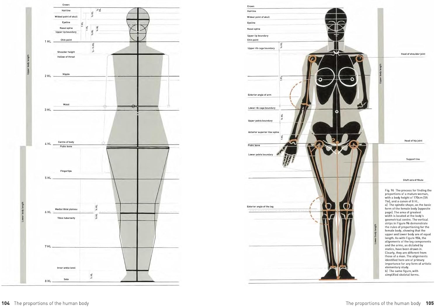 Thumbnail 5 de Search Press The Complete Guide to Anatomy for Artists & Illustrators (210mm x 295mm)