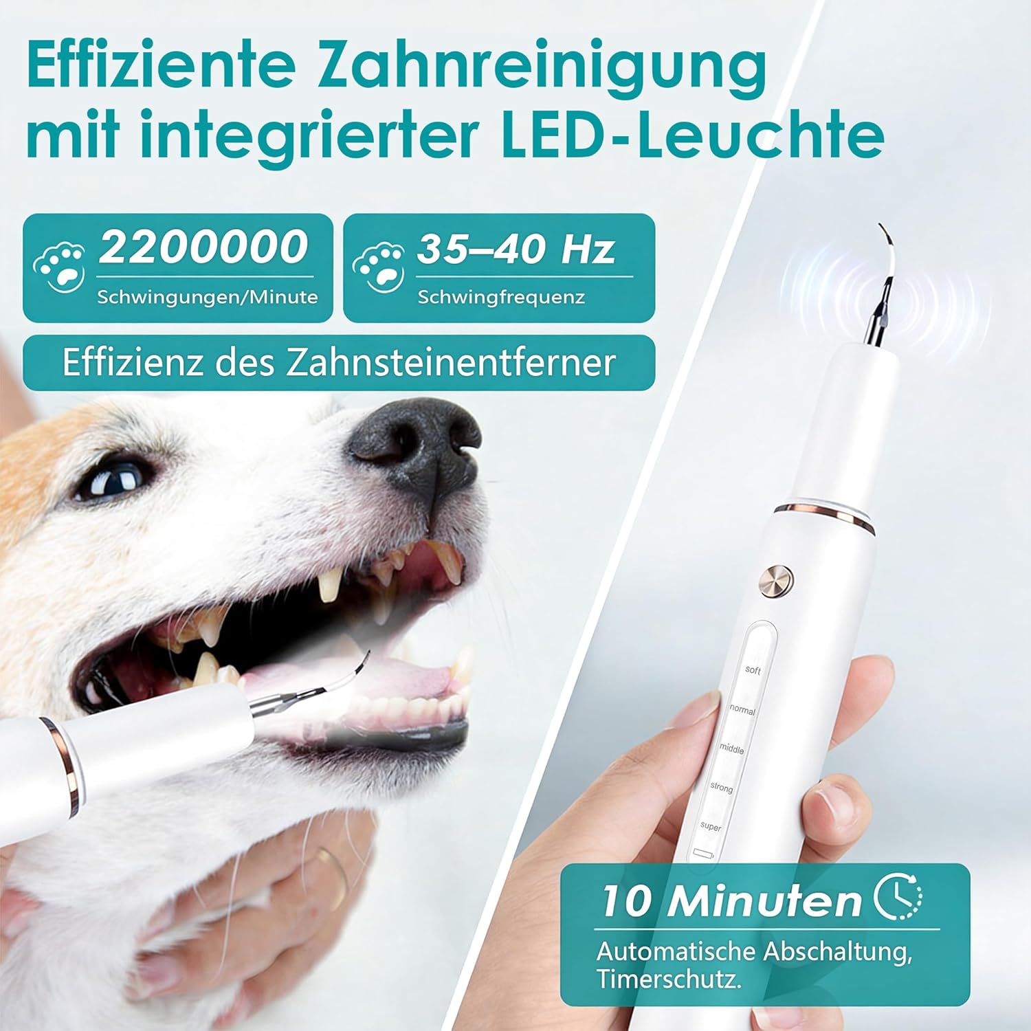 Thumbnail 3 de FIVAVA Pulizia Denti per Cani e Gatti: kit ricaricabile con 5 modalità