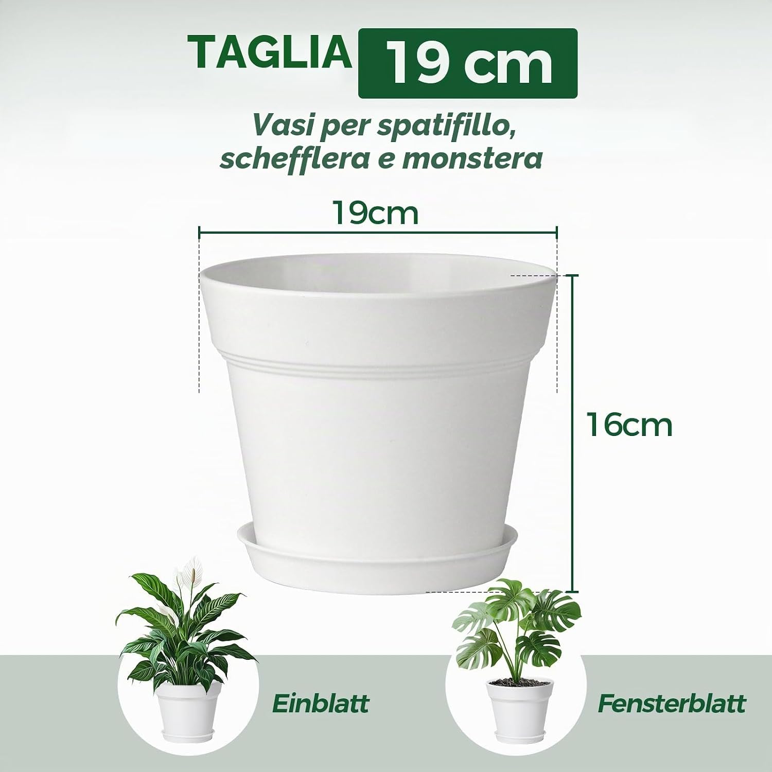 Detalle 2 de T4U Vaso da Interno 19 cm Set 6 con Sottovaso Possono Essere Utilizzati per Piante e Orchidee
