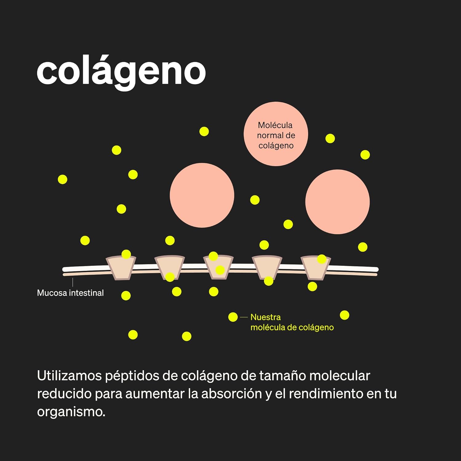 Detalle 2 de natural elements colágeno con ácido hialurónico 1000 mg