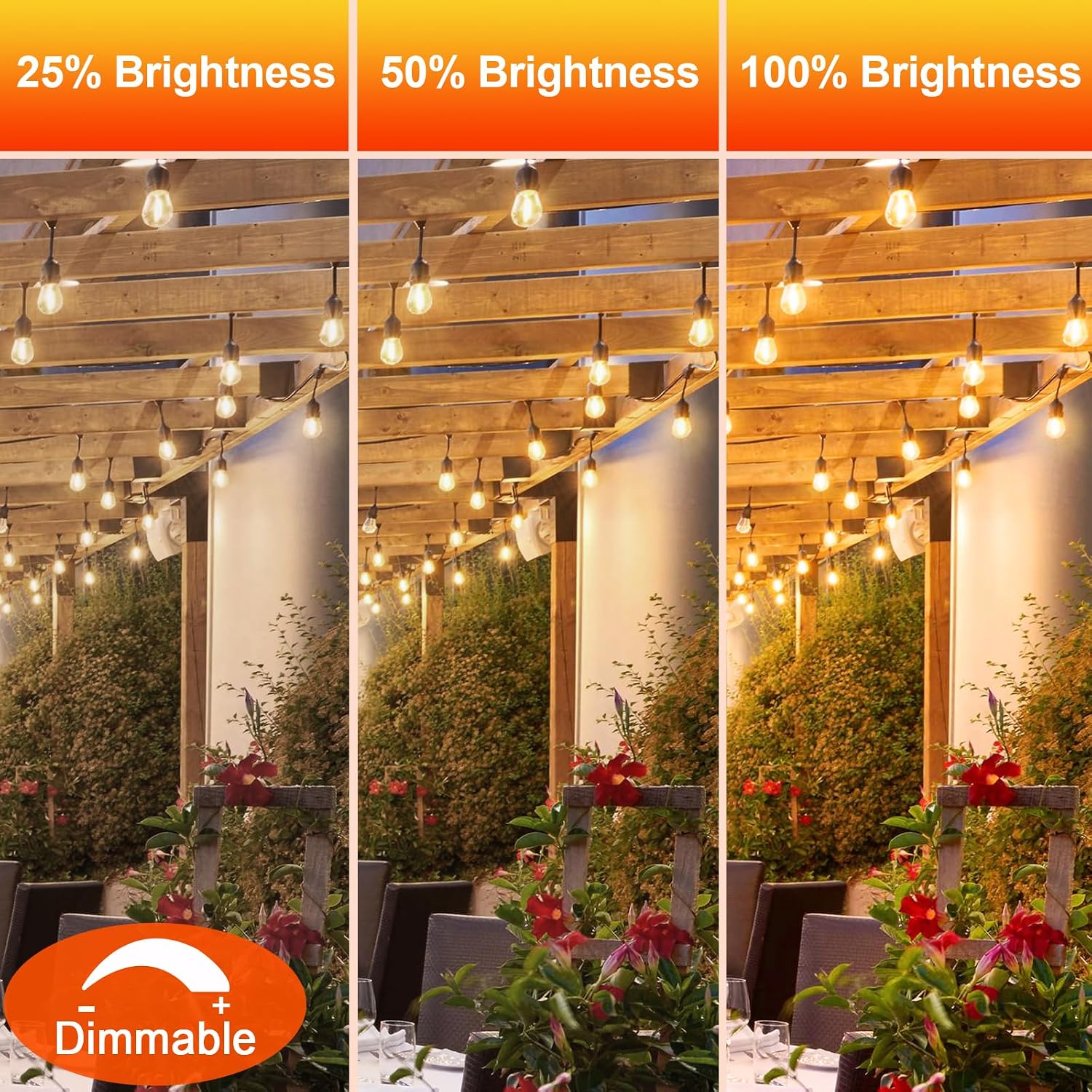 Thumbnail 5 de GvvooHome S14 LED Replacement Bulbs, 36-Pack