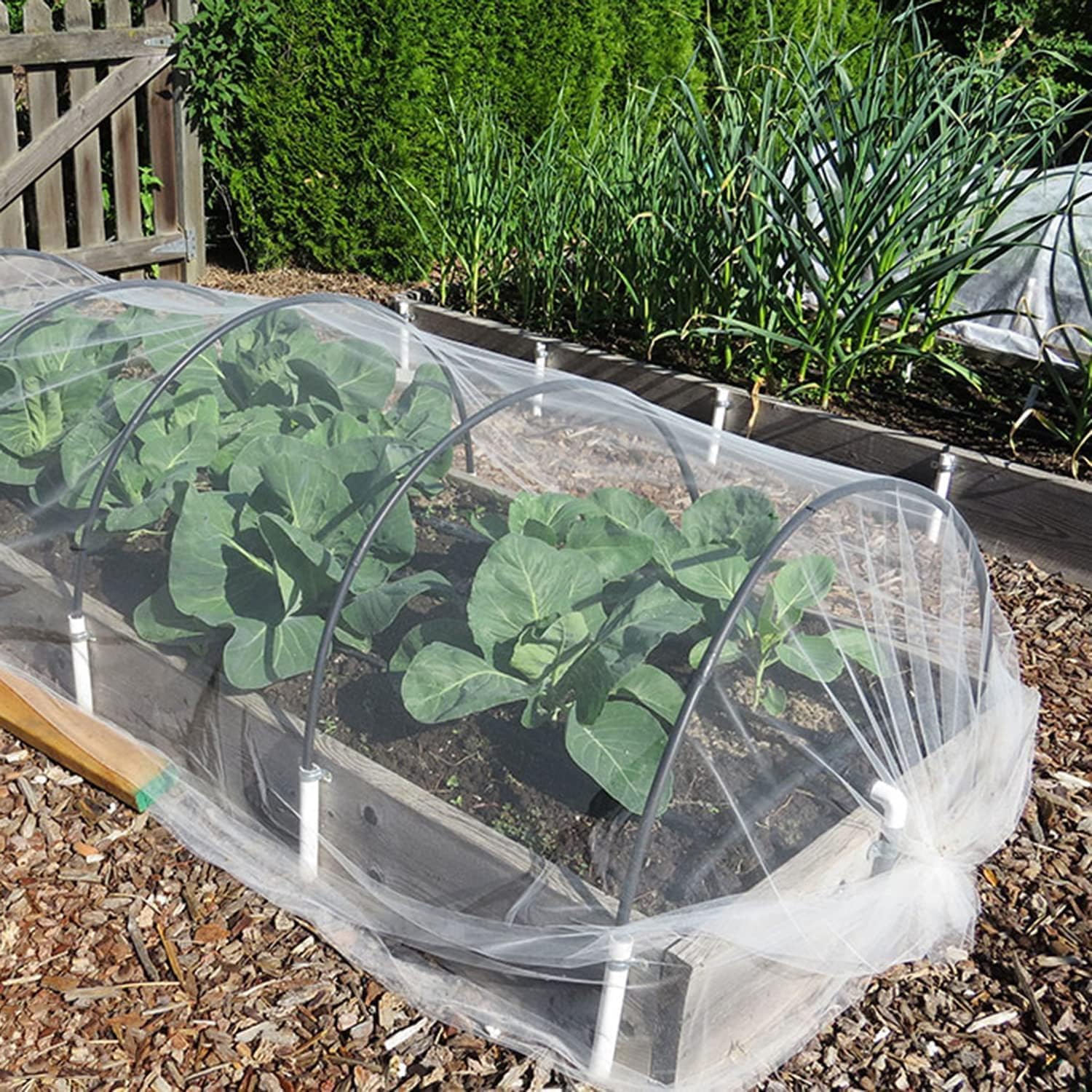 Detalle de Aoipend Fine Mesh Garden Netting, 10' x 50' PE Crop Cover
