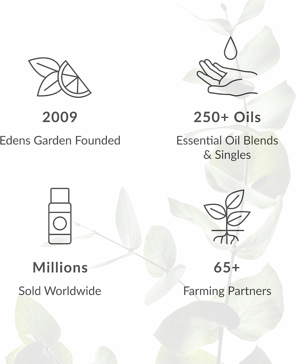Thumbnail 5 de Edens Garden Vanilla Oleoresin Essential Oil (10 ml): Rich, Sweet Vanilla Aroma for Diffusers and More
