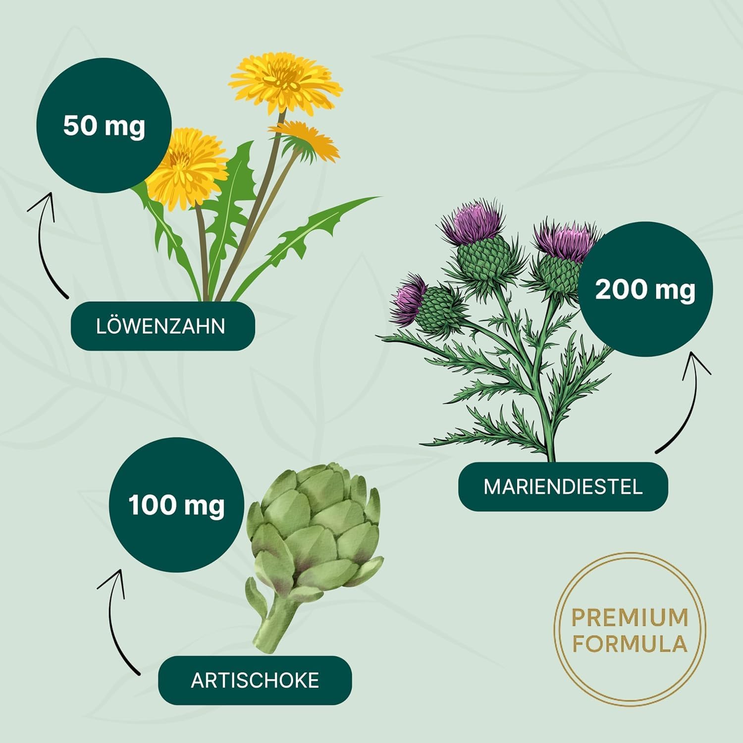 Thumbnail 2 de ESSENZ Hepa Kapseln mit Mariendistel, Artischocke & Löwenzahn (60 Kapseln) – Nahrungsergänzung zur Leberunterstützung