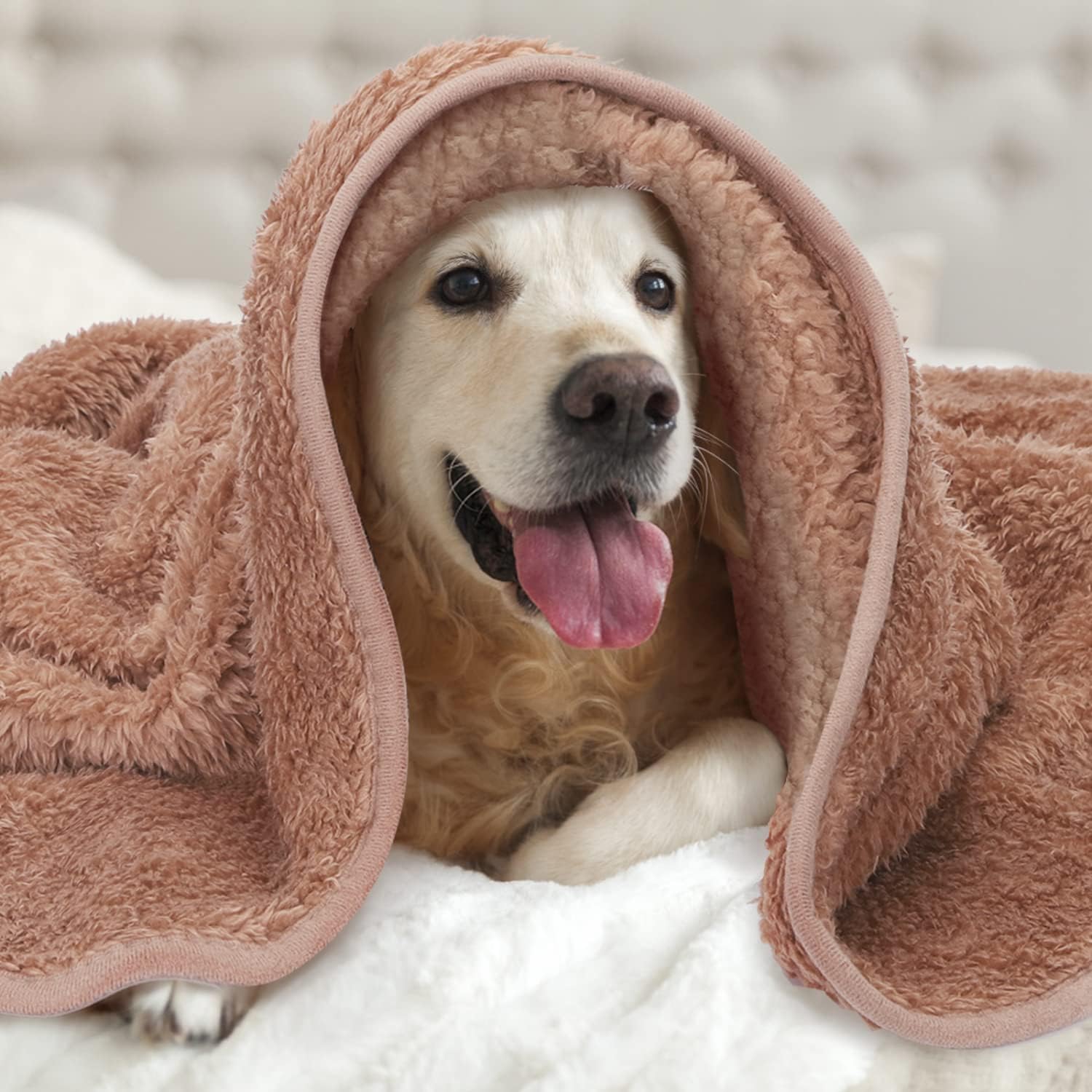 Thumbnail 6 de Nobleza Coperta in pile 100x80 cm 🐾