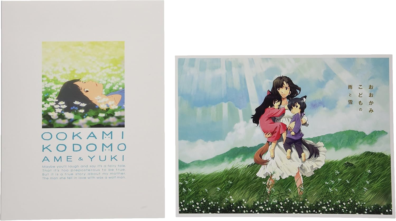 Detalle de おおかみこどもの雨と雪 VPBT-13736 DVD 2枚組、本編・特典映像収録