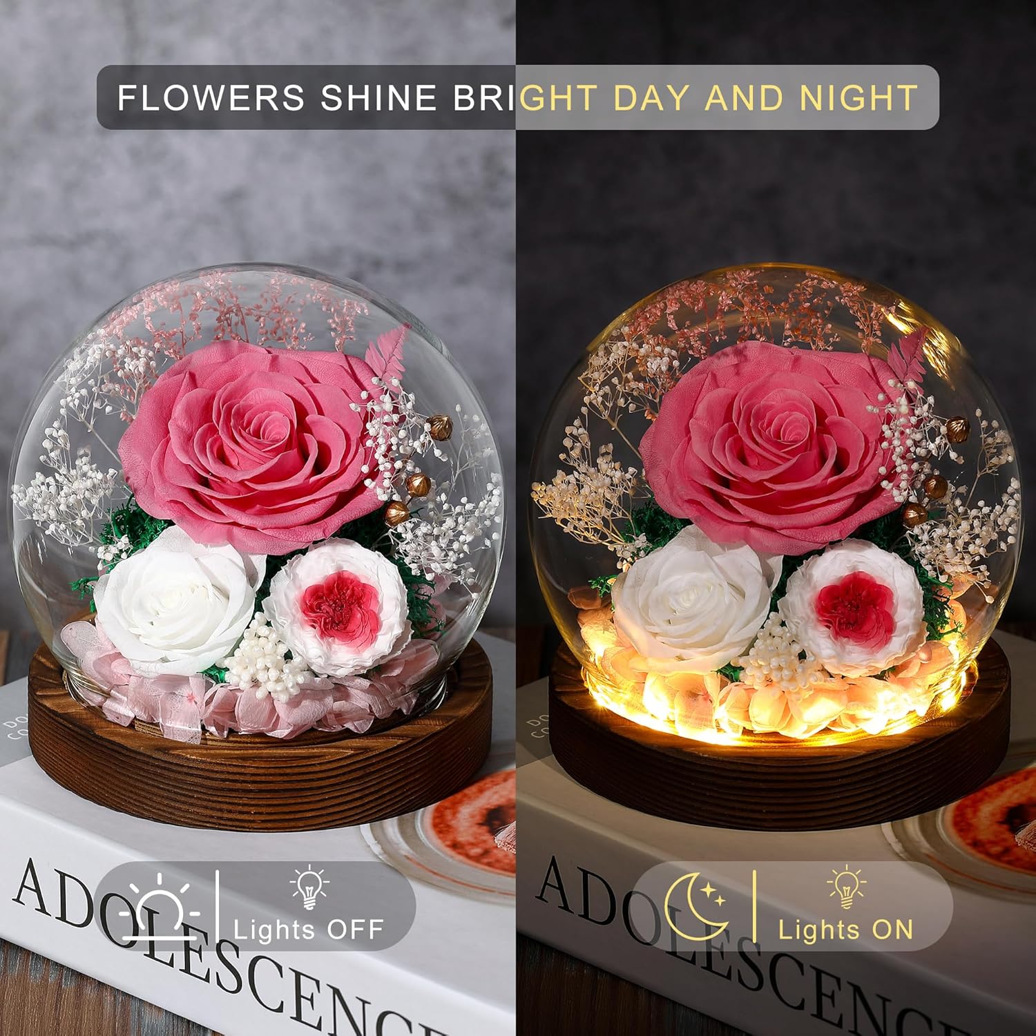 Thumbnail 1 de Eaprala Preserved Rose Glass Dome Gift