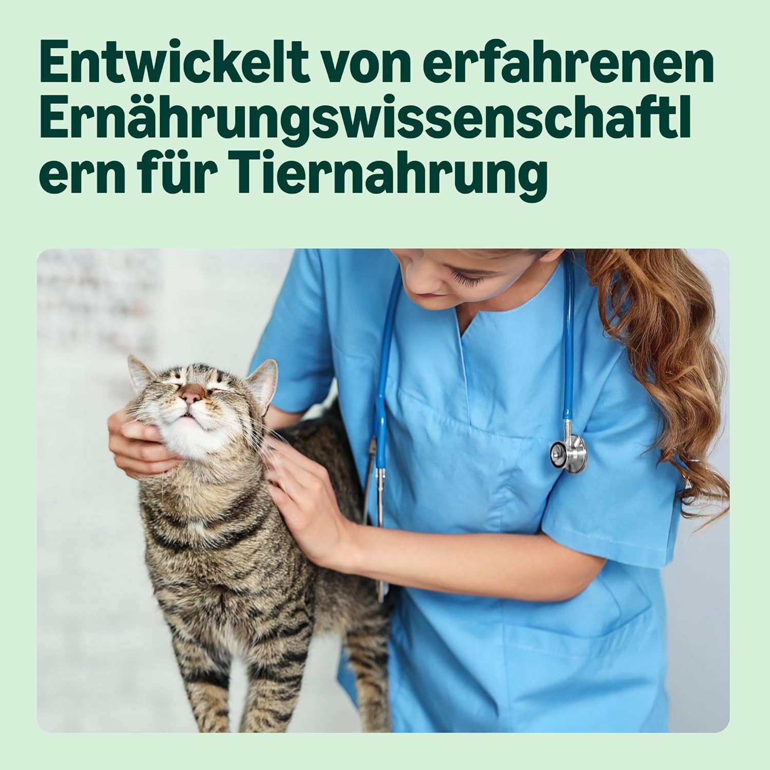 Detalle de by Amazon Katzensfutter Nassfutter Lachsstück in Sauce (ASC-zertifiziert) – 6 x 415 g