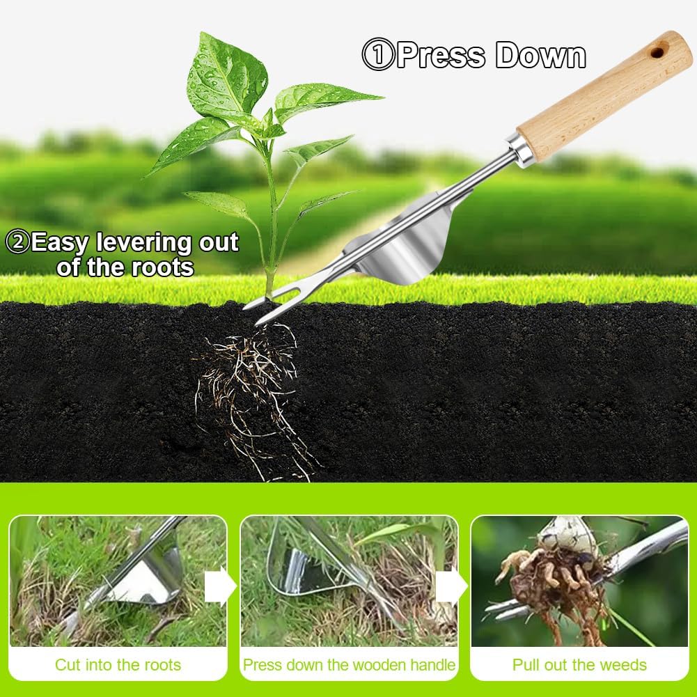 Detalle 2 de Adiwo 3-Piece Stainless Steel Hand Weeder Tool Set with Gloves – Durable Garden Weeding Kit