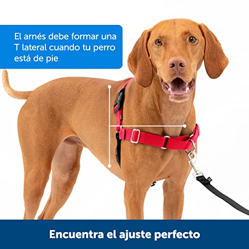 Detalle 1 de PetSafe Easy Walk - Arnés Antitirones para Perros 🐾