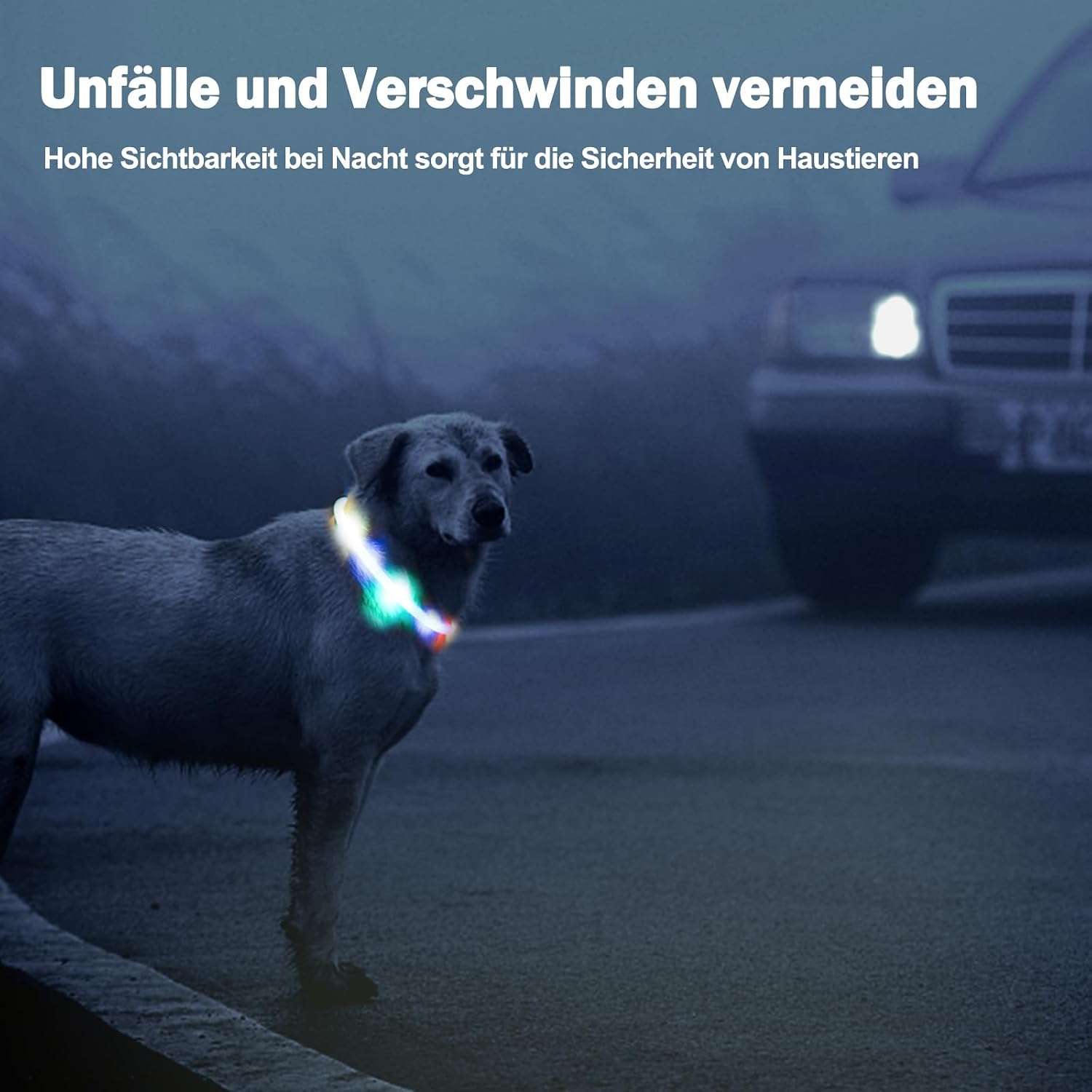 Thumbnail 5 de Nepfaivy Leuchthalsband Hund 70 cm