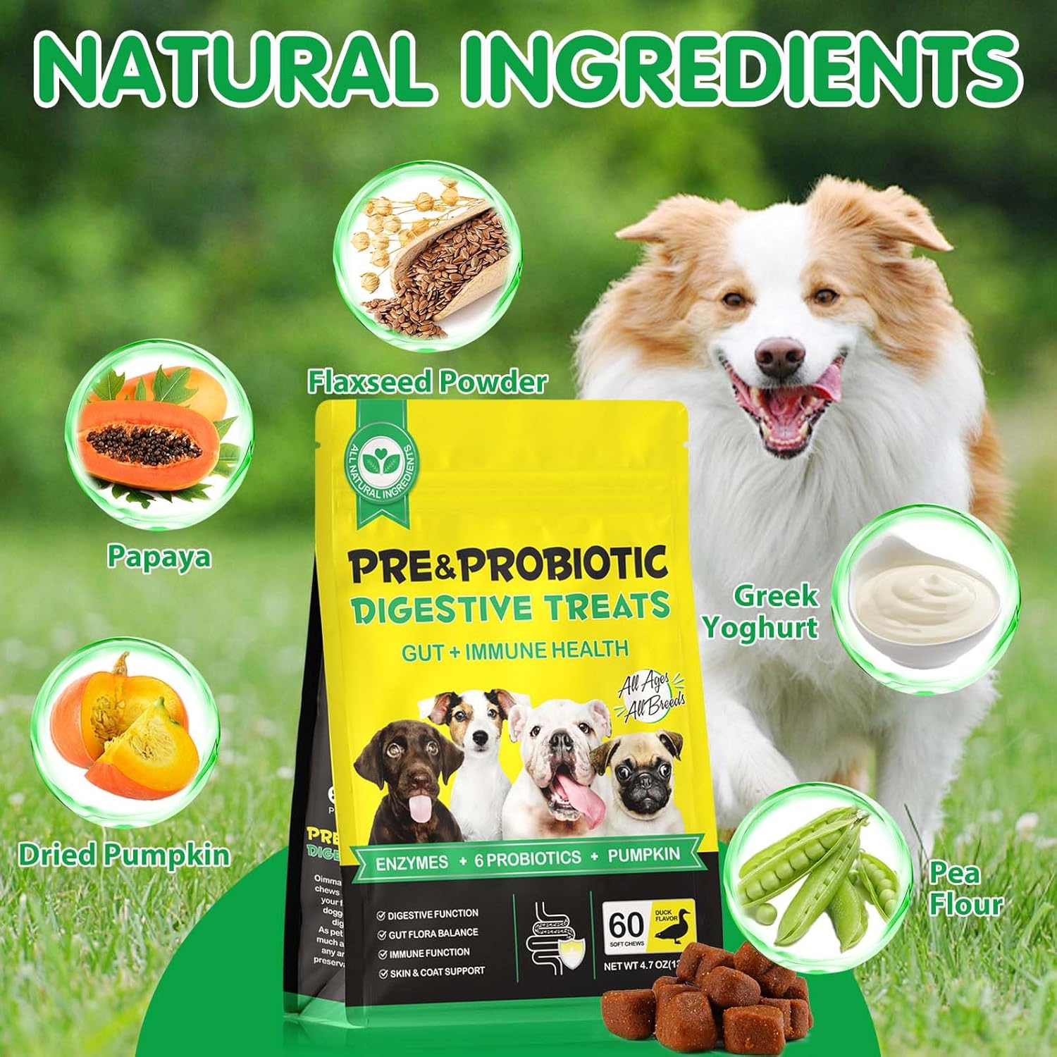 Thumbnail 3 de Probiotici per cani 60 masticabili