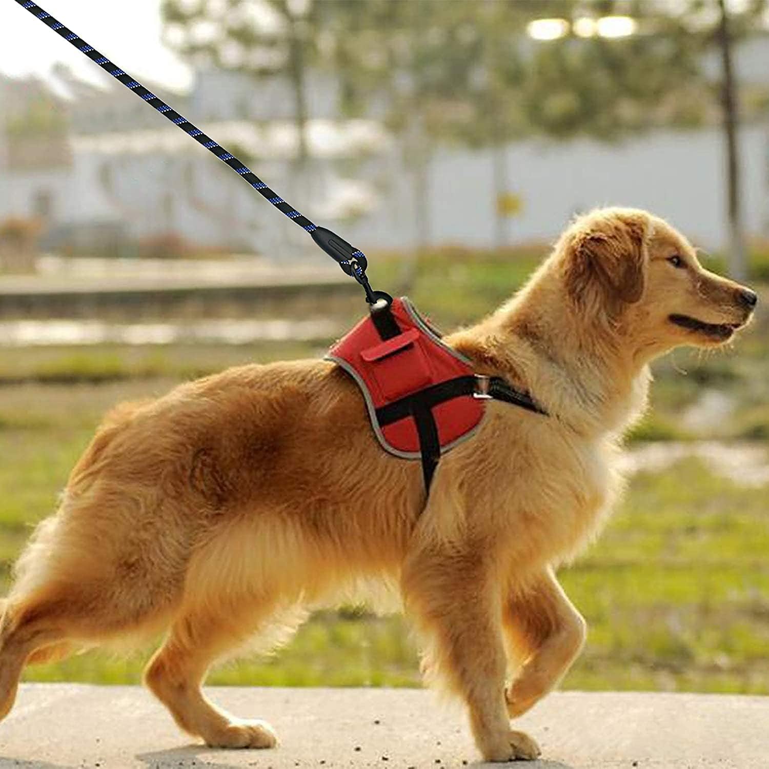 Detalle 2 de Candure Guinzaglio per Cani Elastico in Nylon Riflettente, 152 cm, imbottito e girevole, per tutte le taglie