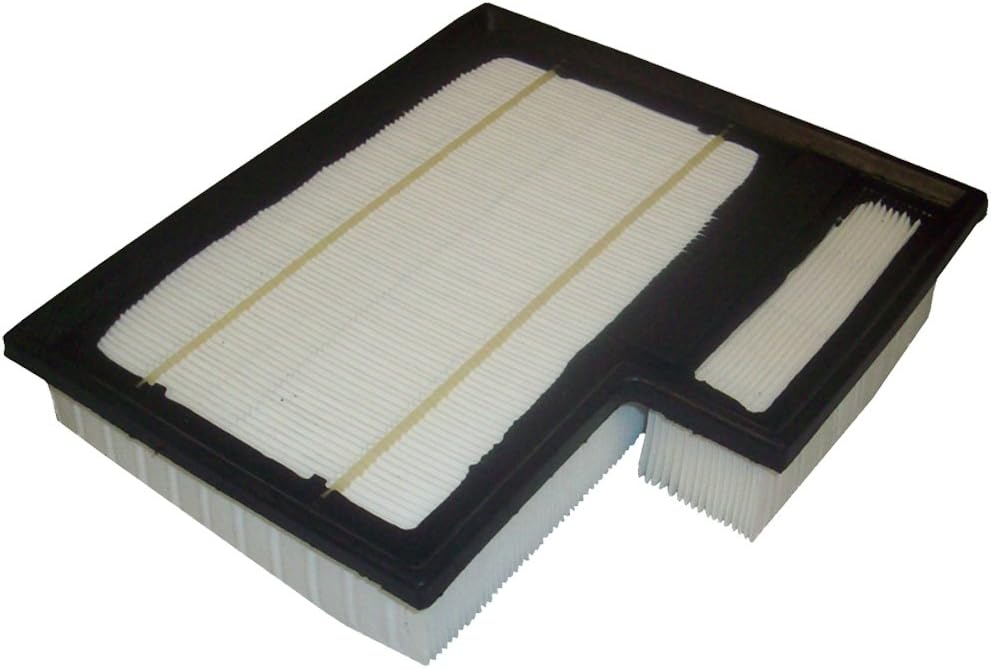 Detalle 2 de EcoGard Air Filter XA10392