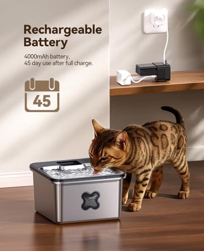 Detalle de FEELNEEDY Fontaine à Eau pour Chat INOX 3,2 L – Sans Fil, Filtration Avancée