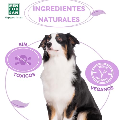 Thumbnail 6 de MENFORSAN Pipetas Anti-Insectos para Perros con Margosa, Geraniol y Lavandino (2 unidades, 1,5 ml cada una)