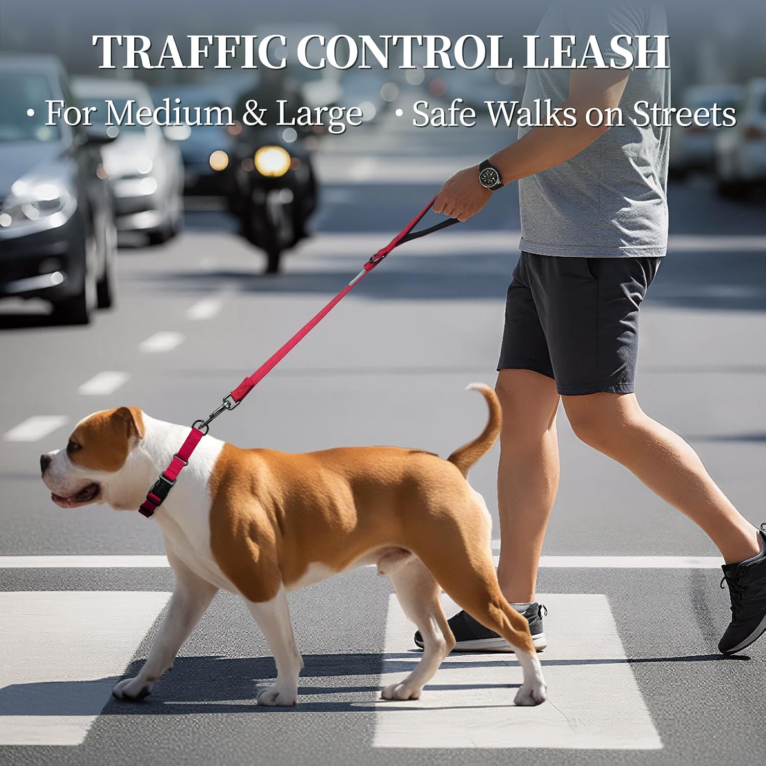 Detalle de VIVAGLORY Closerok Traffic Short Dog Lead (61cm) with Padded Handle – Red