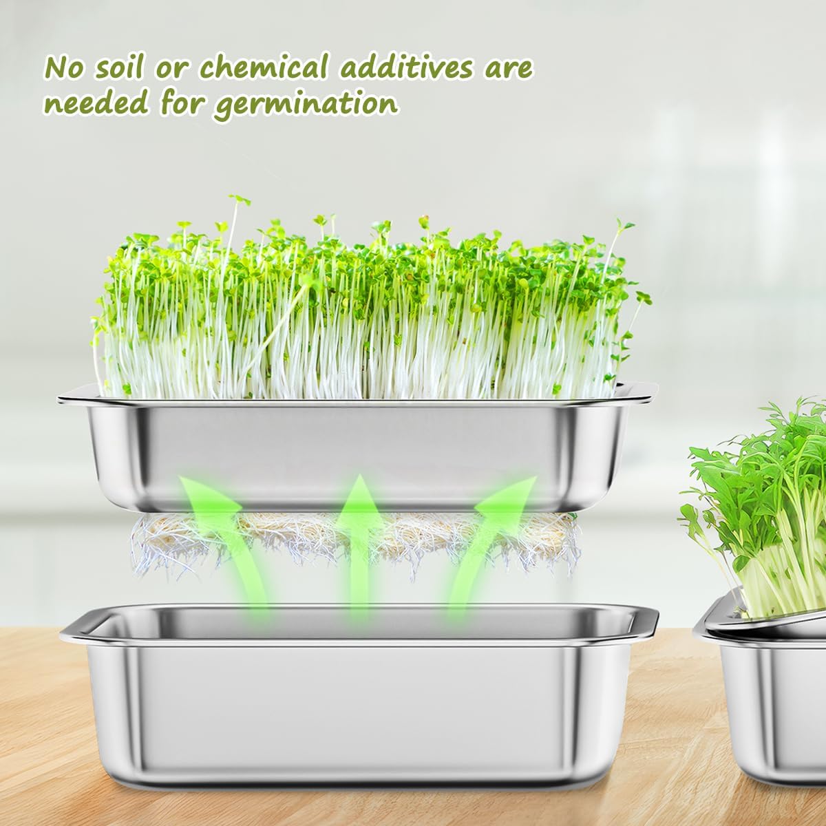 Thumbnail 6 de FANHAO 2-Pack Sprouting Tray Kit