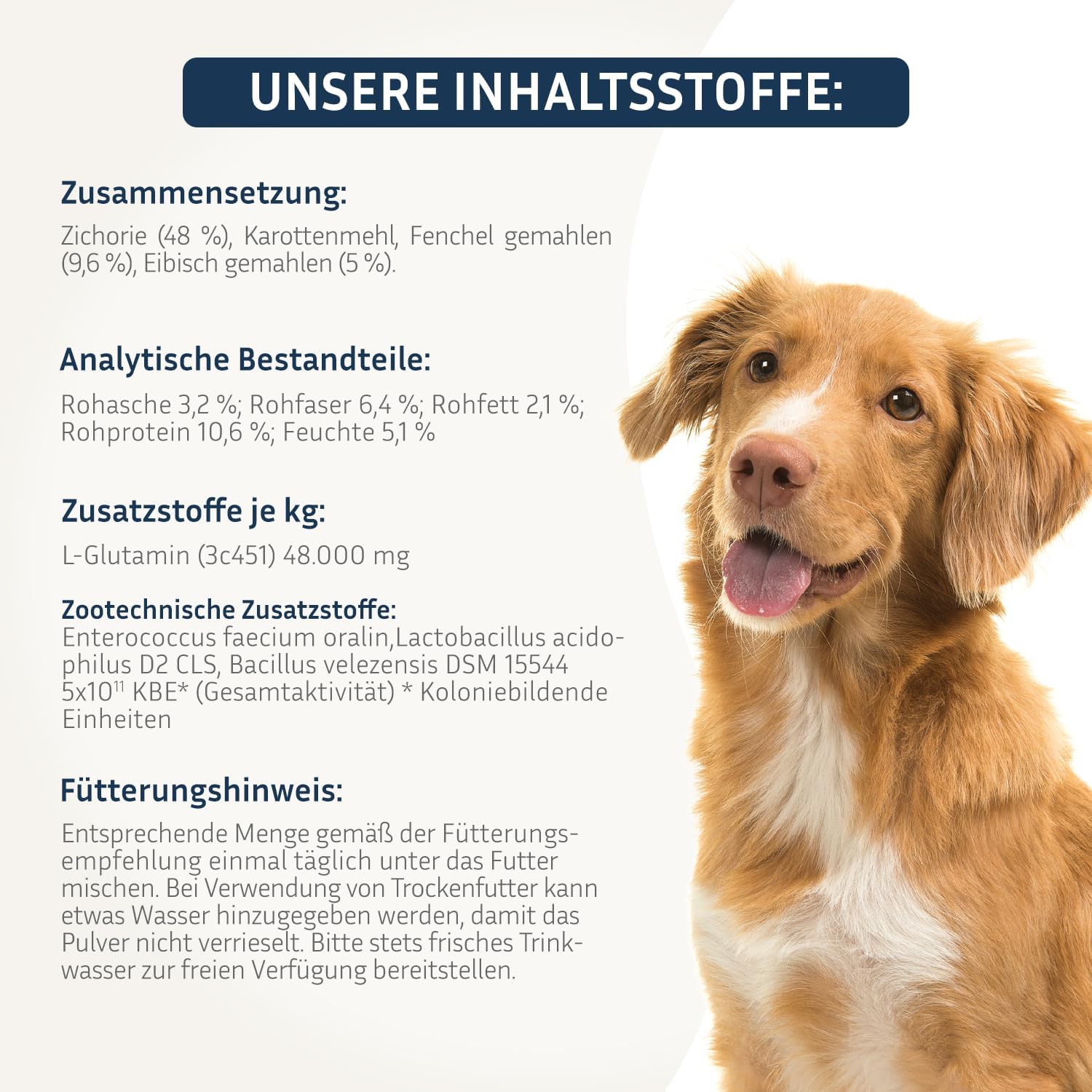 Detalle 2 de PetFokus Darm Komplex für Hunde – Unterstützung der Verdauung, Entzündungshemmung und Gelenkgesundheit