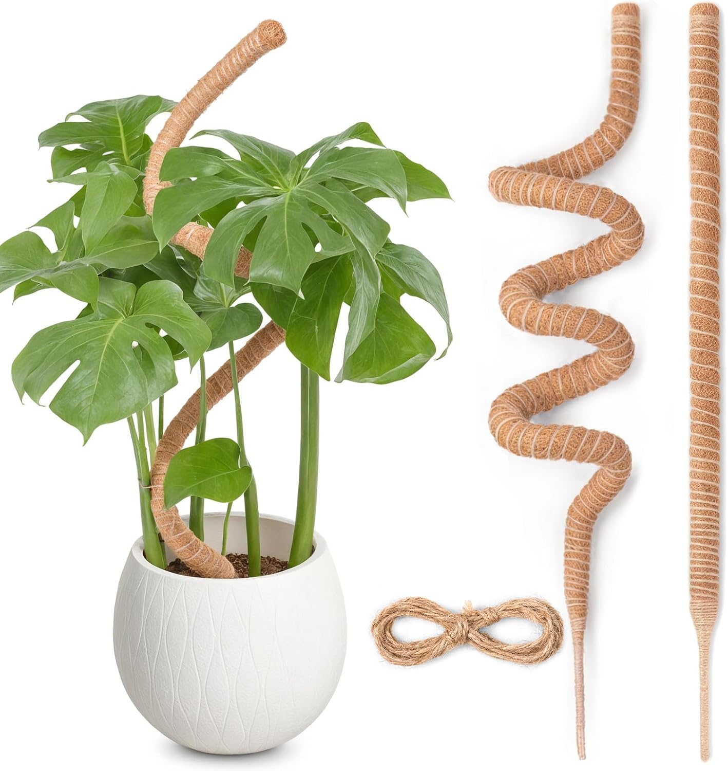 Thumbnail 6 de Moosstab Monstera von SproutMaven – 2 × 60 cm biegsamer Kokosstab mit Zubehör